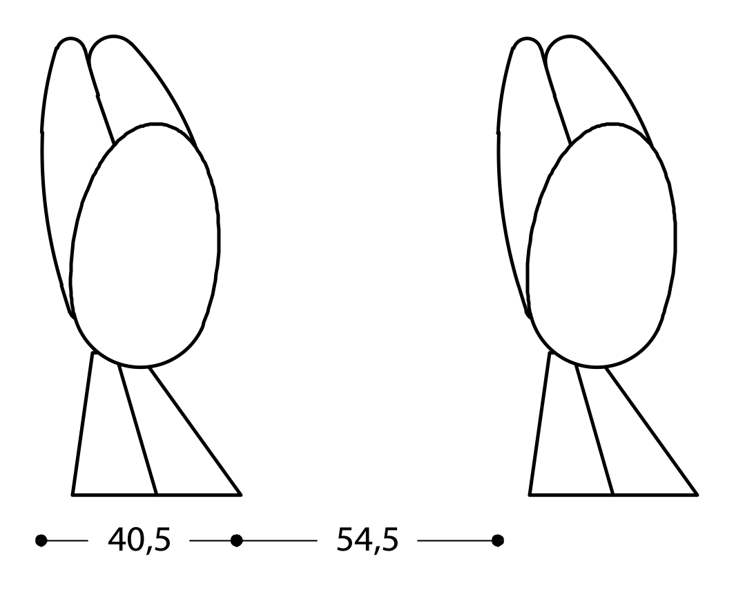 Thumbnail for image 11