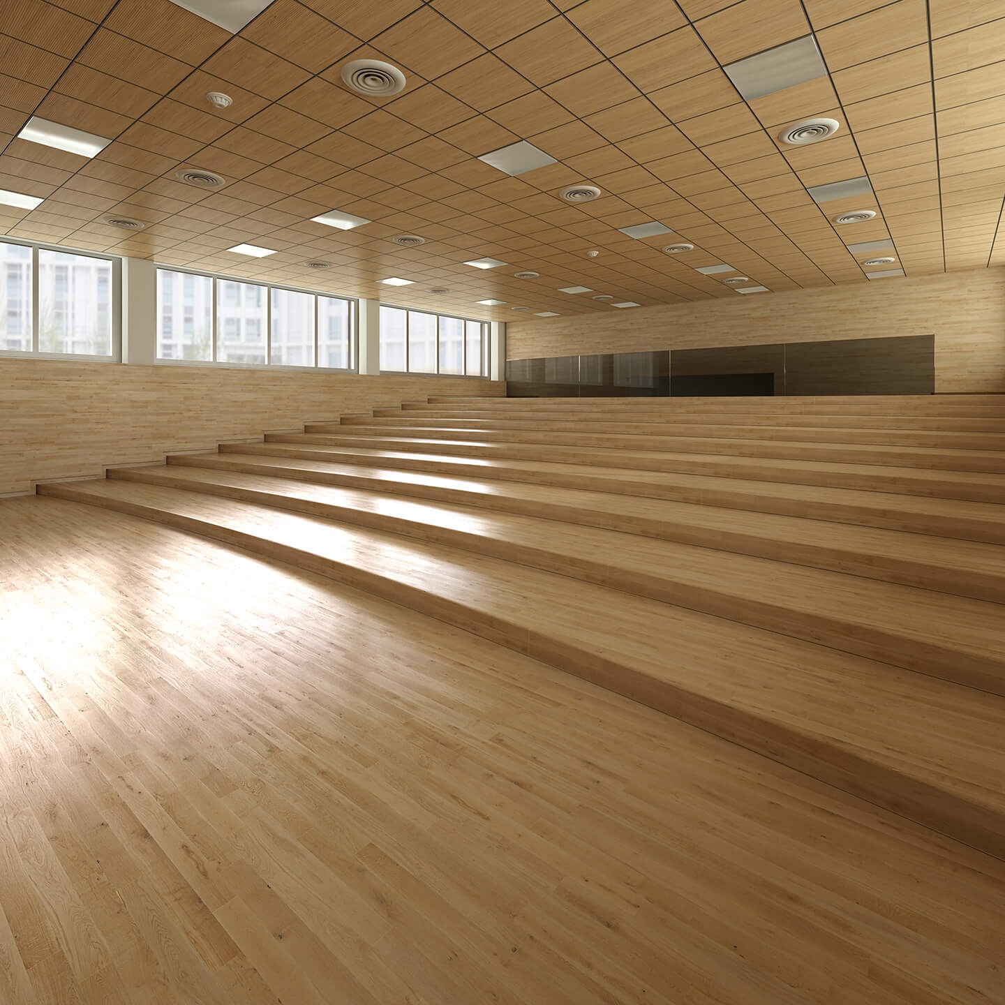 Display product Raised Platforms and Fixed Tribunes from manufacturer Lamm