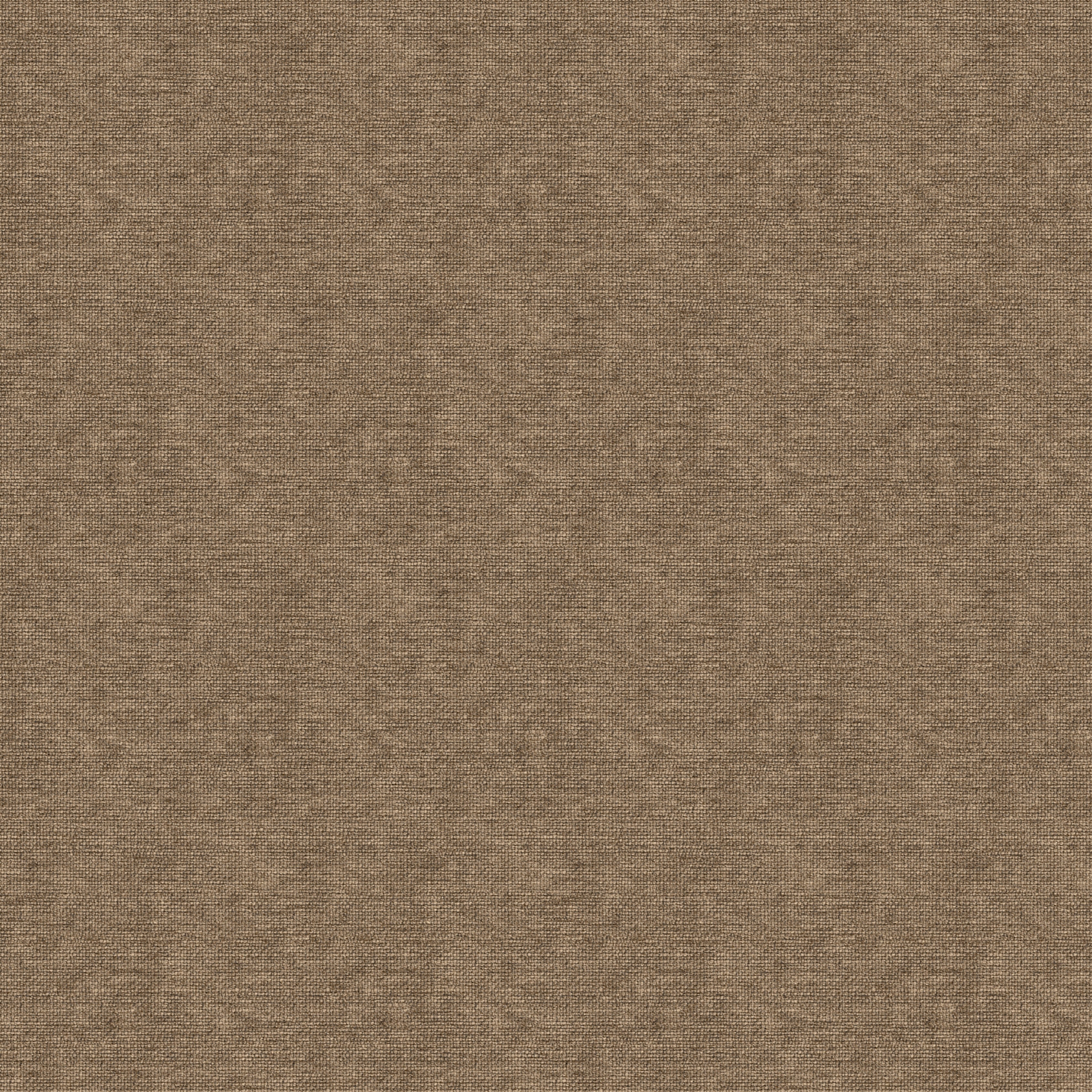 Canvas College RF52752809