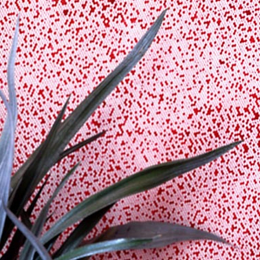 Wall Treatments