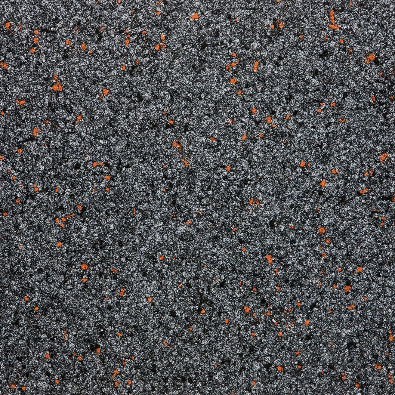 Orbital® O7 & Orbital 07 COLORpunkt® | COLORpunkt® ceres 814