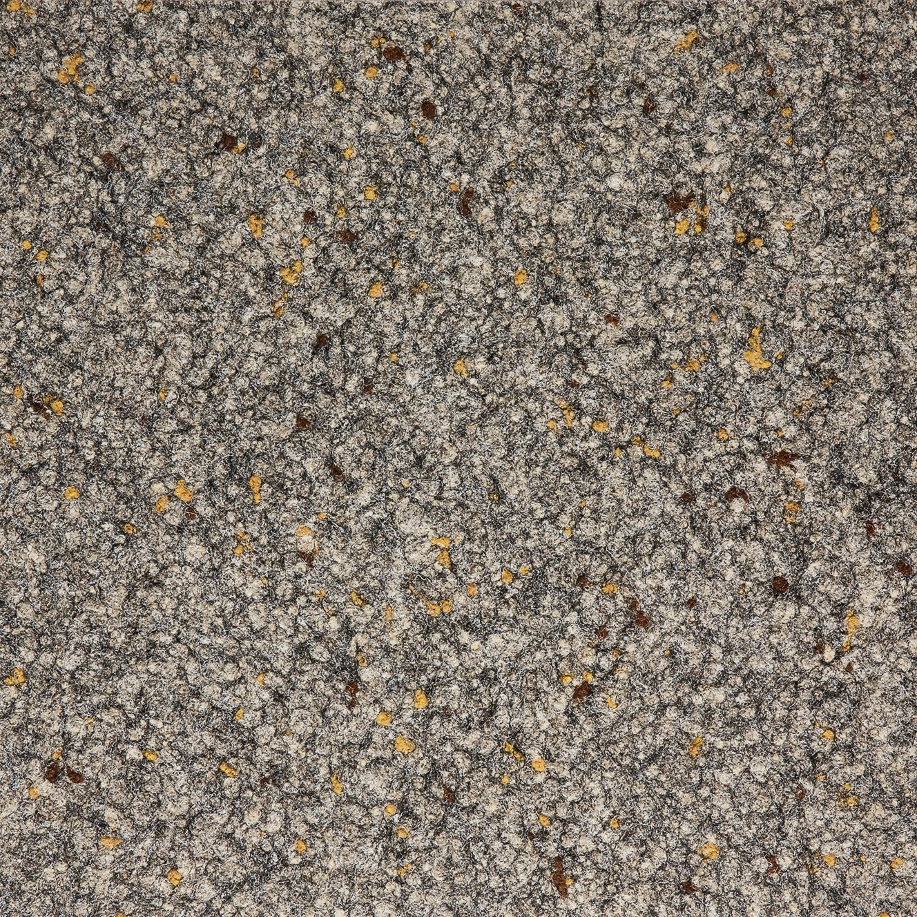 Abraxas & Abraxas COLORpunkt® | berber 774