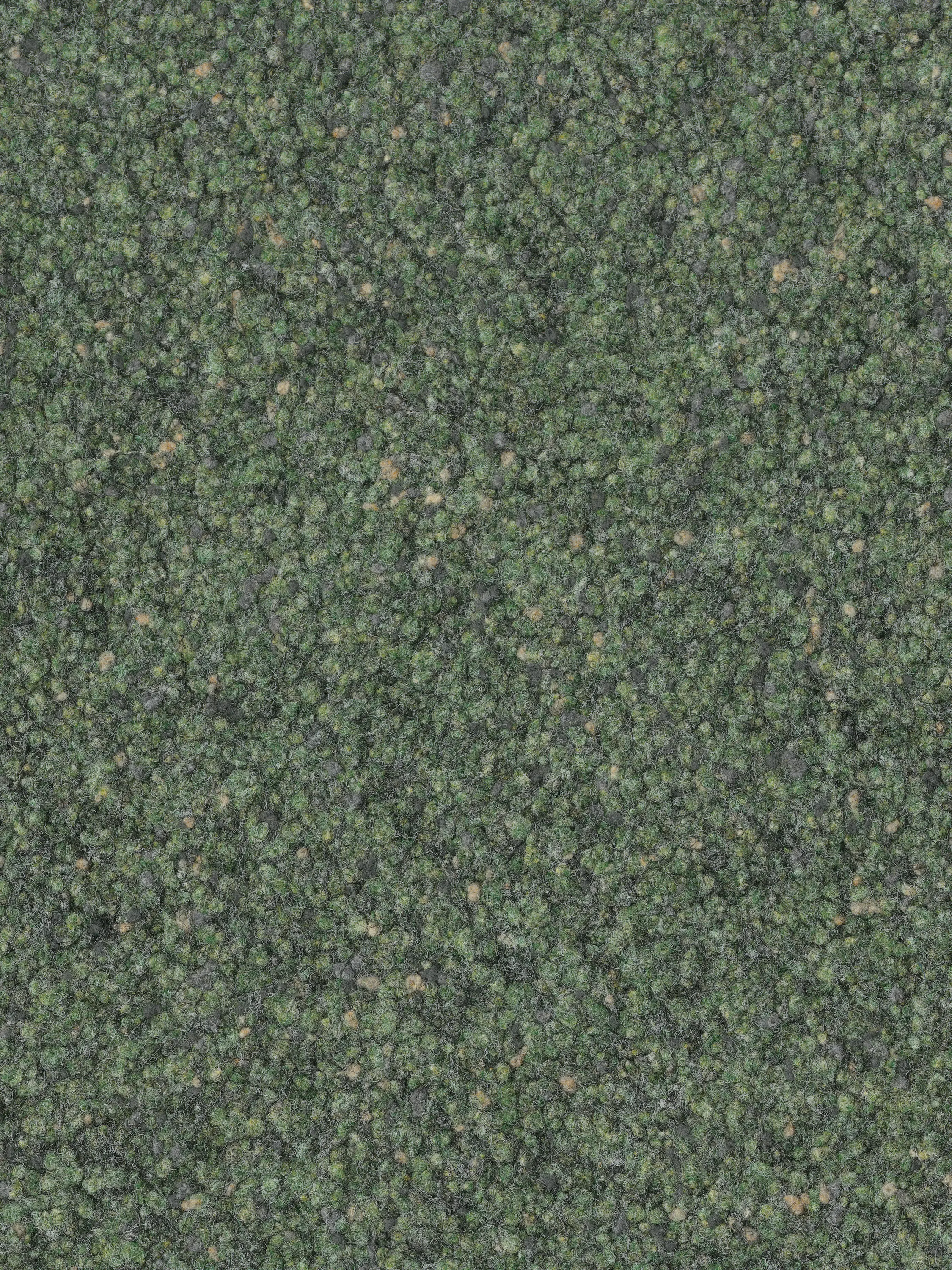Fabromont AG - Reval® kardamom 530
