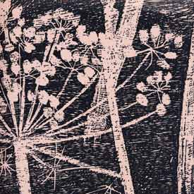 Cow Parsley 66-7048 Tapete