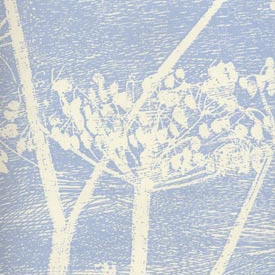 Cow Parsley 66-7050 wallpaper