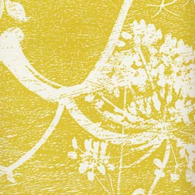 Cow Parsley 66-7051 wallpaper