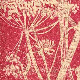 Cow Parsley 66-7052 wallpaper