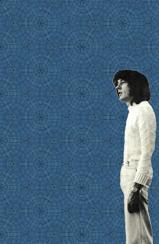 Flavor Paper - Cycloid blueberry wallpaper
