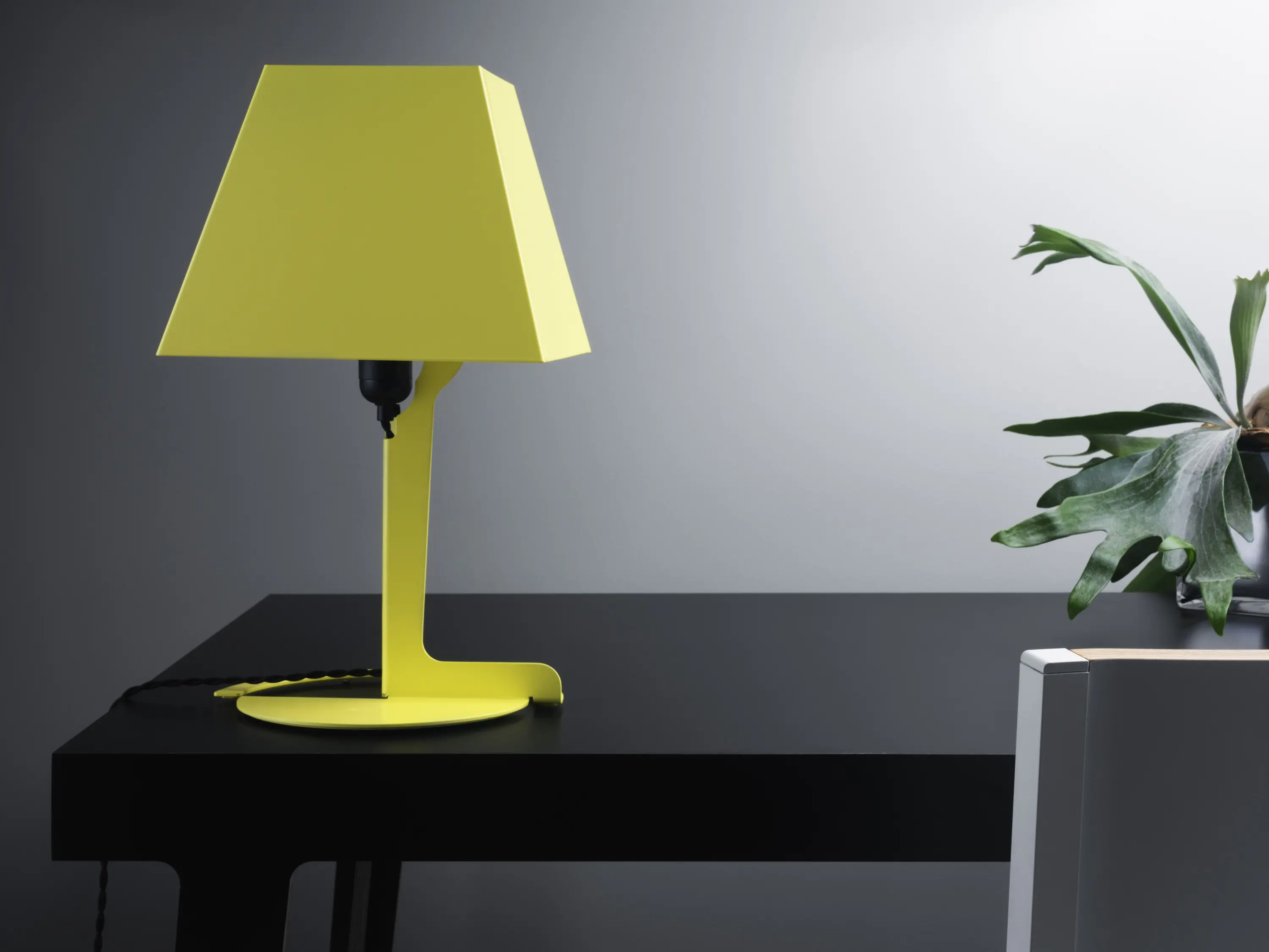 Established&Sons - Fold