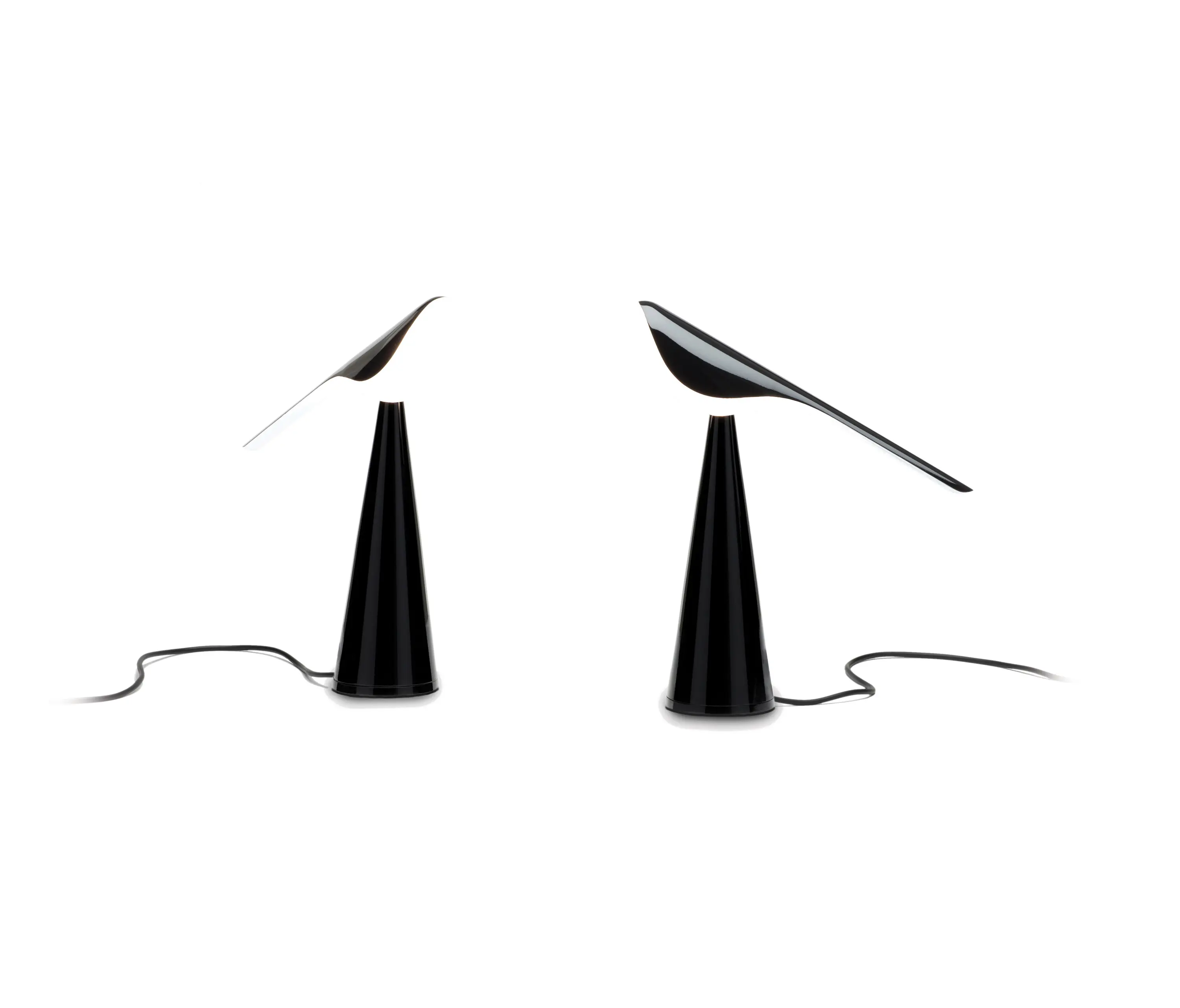 Established&Sons - Tiki