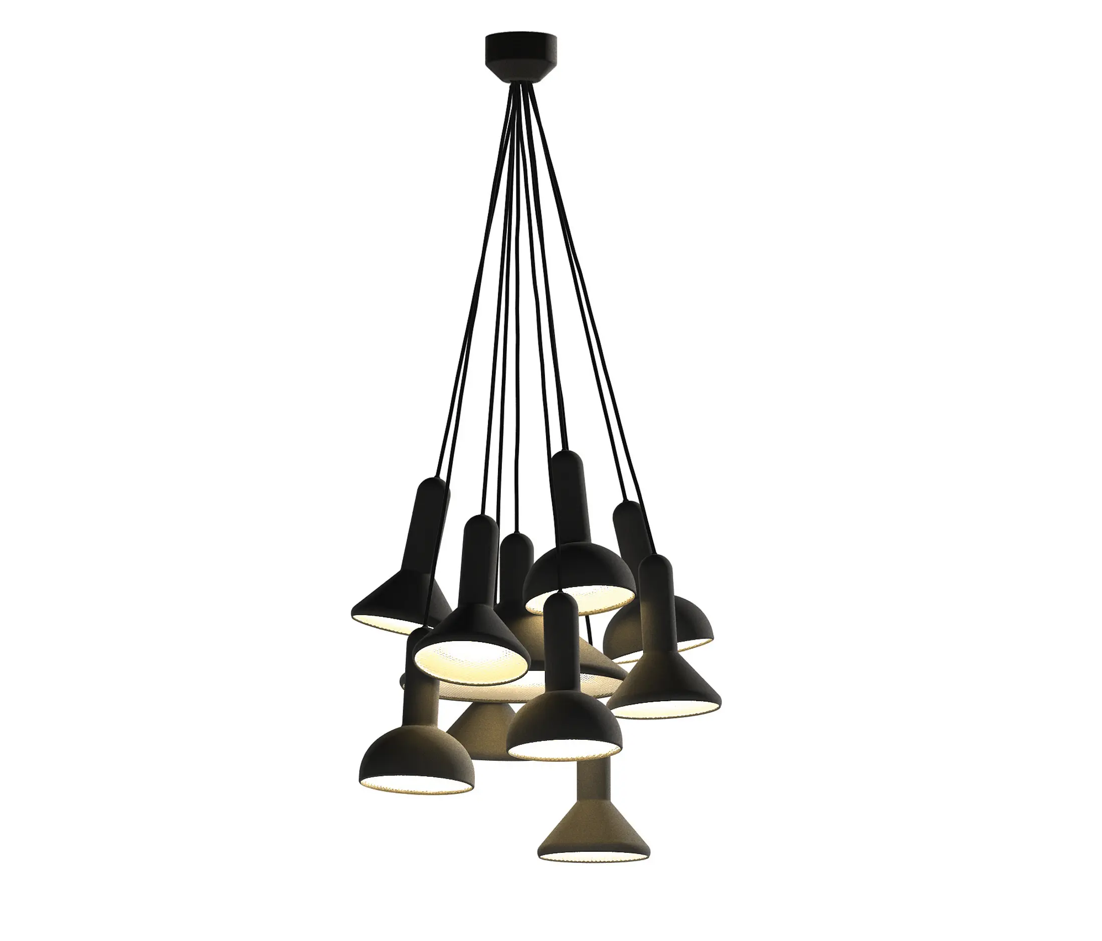 Established&Sons - Torch Light