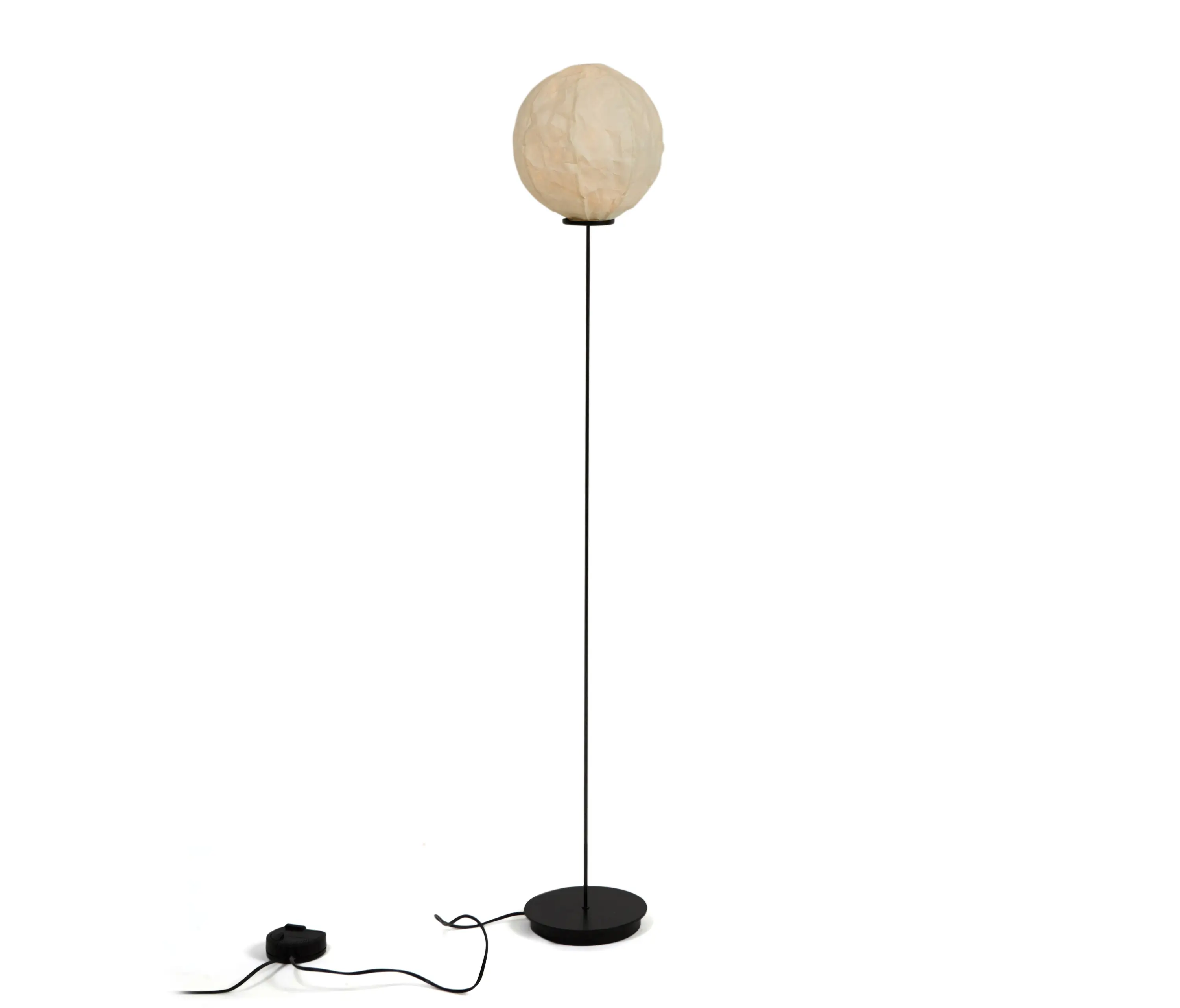 Established&Sons - Cho Light