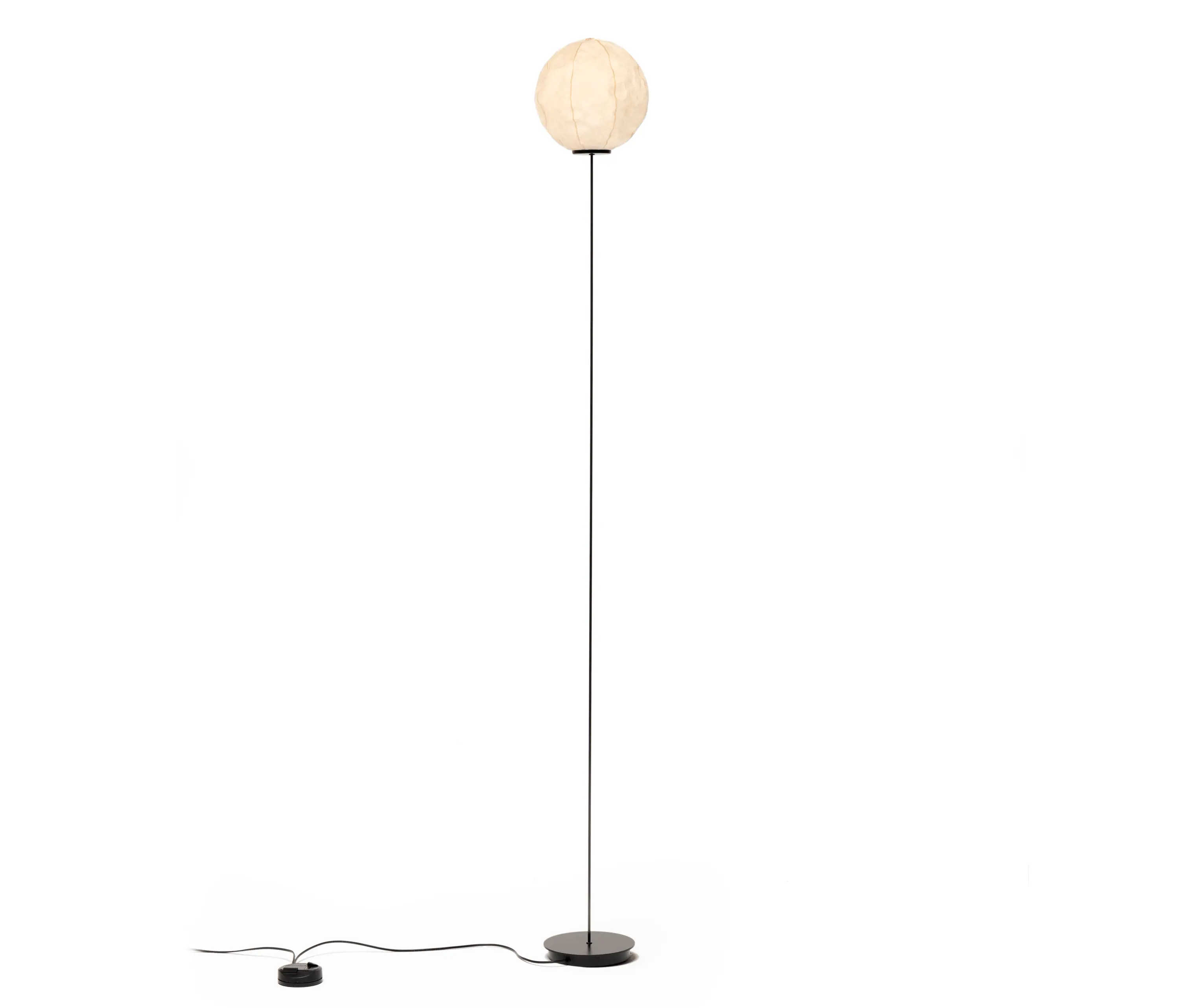 Established&Sons - Cho Light