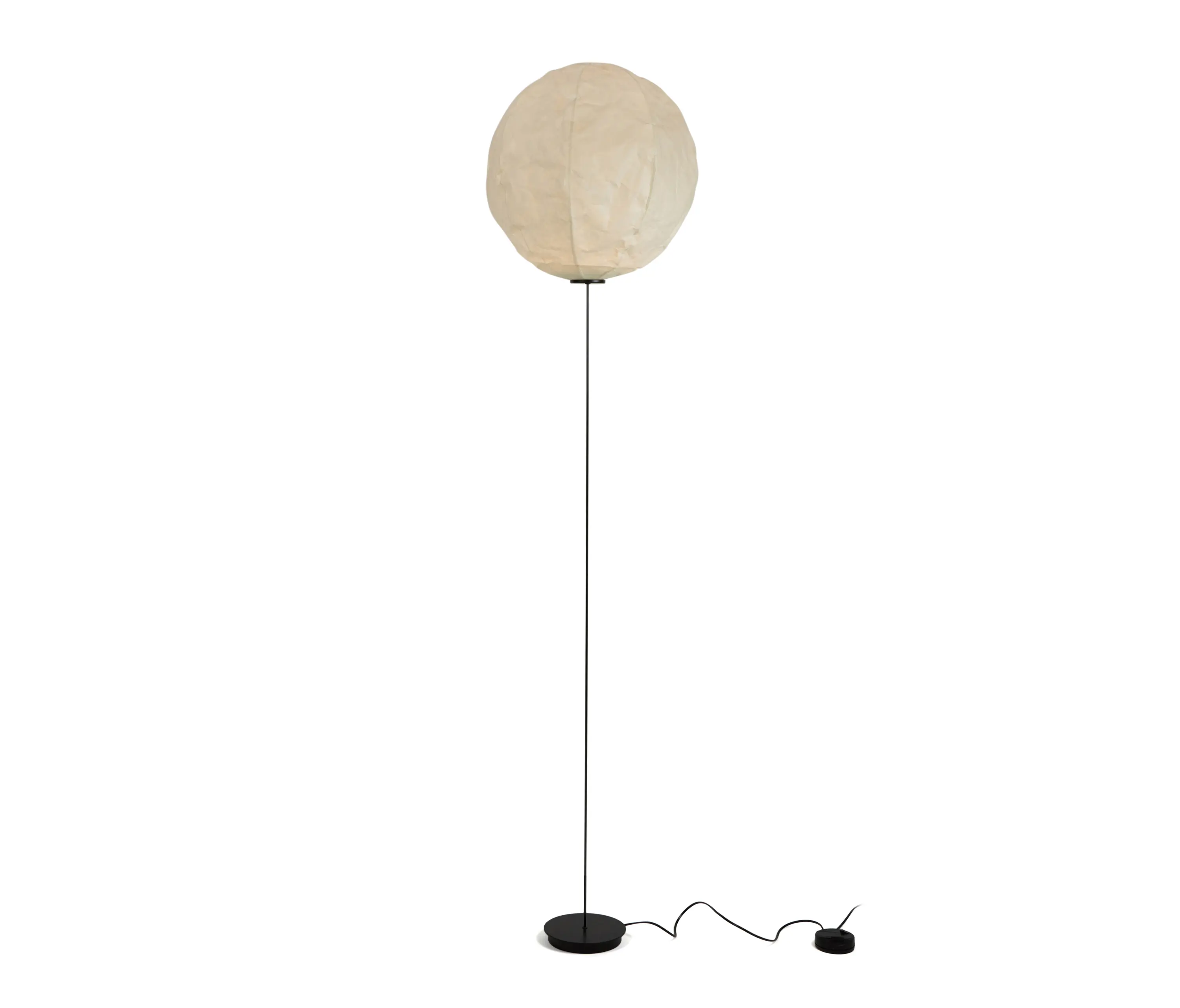 Established&Sons - Cho Light