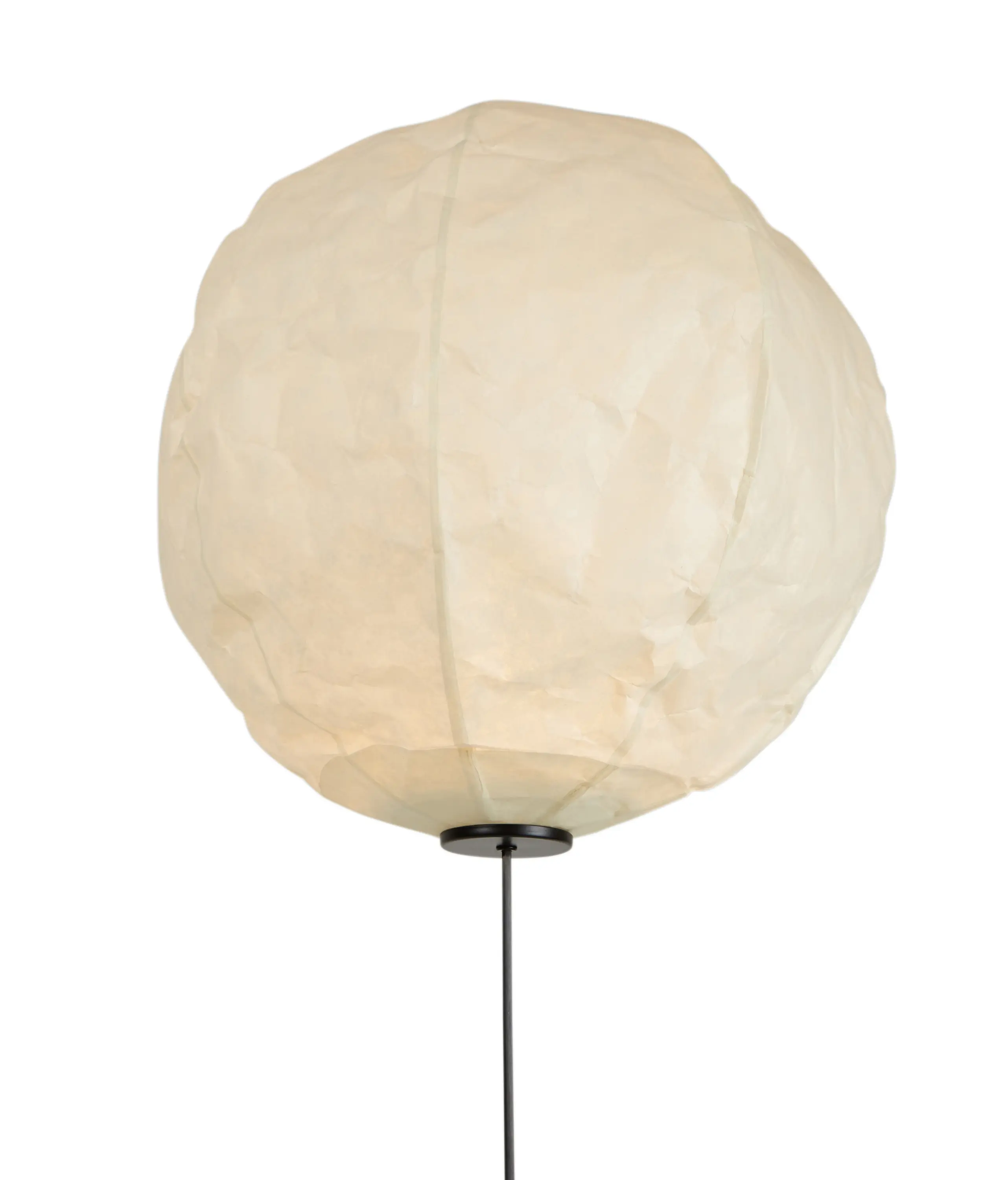 Established&Sons - Cho Light