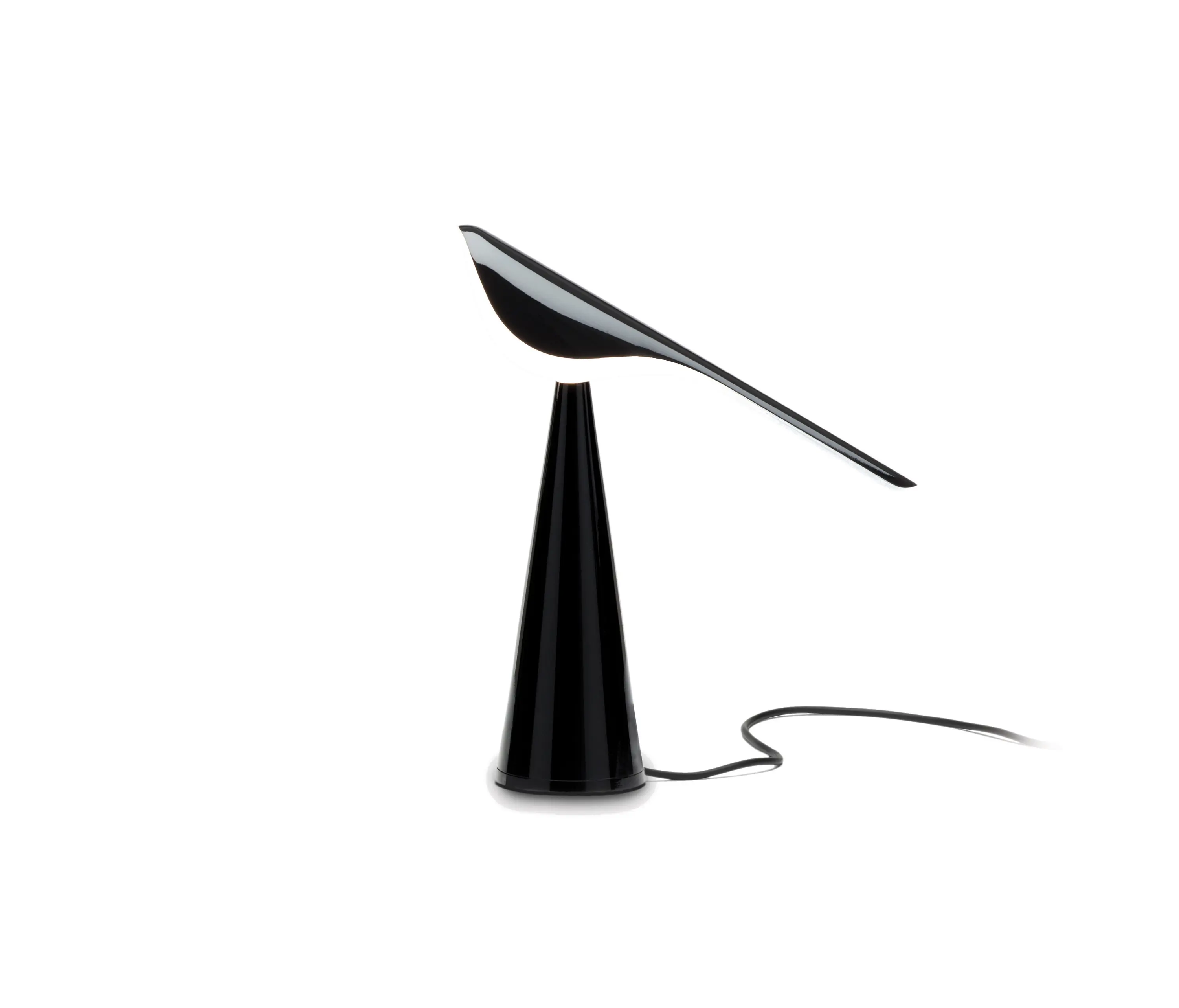 Established&Sons - Tiki