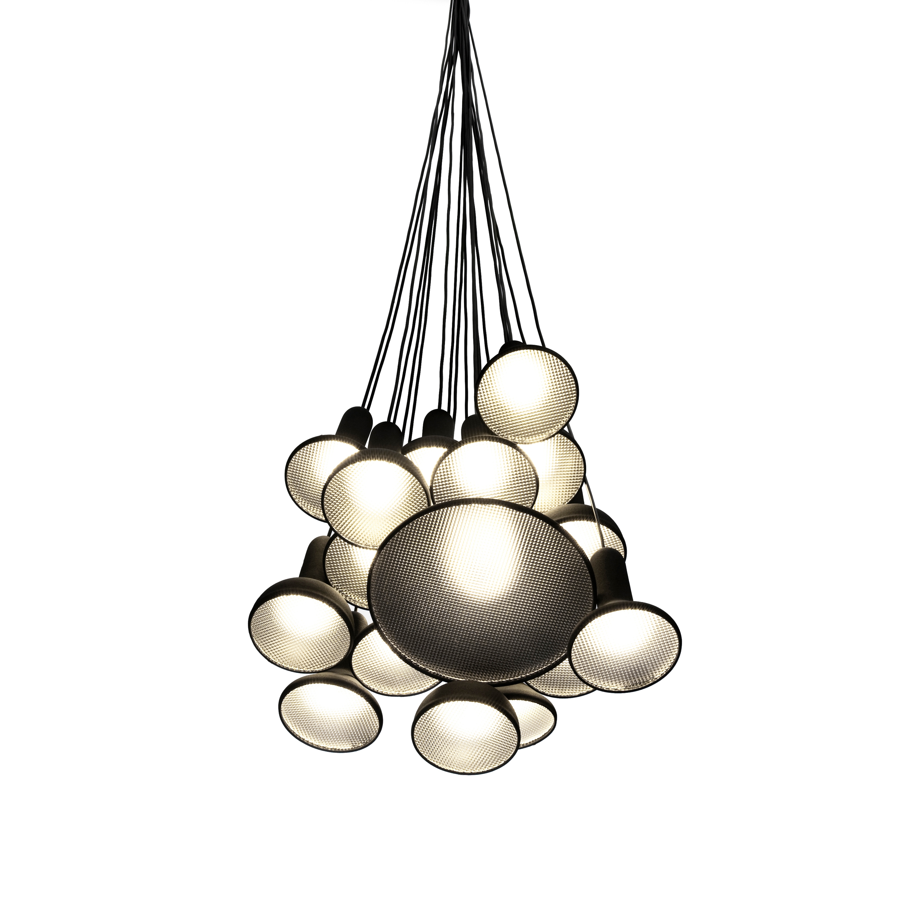Torch Bunch | S20