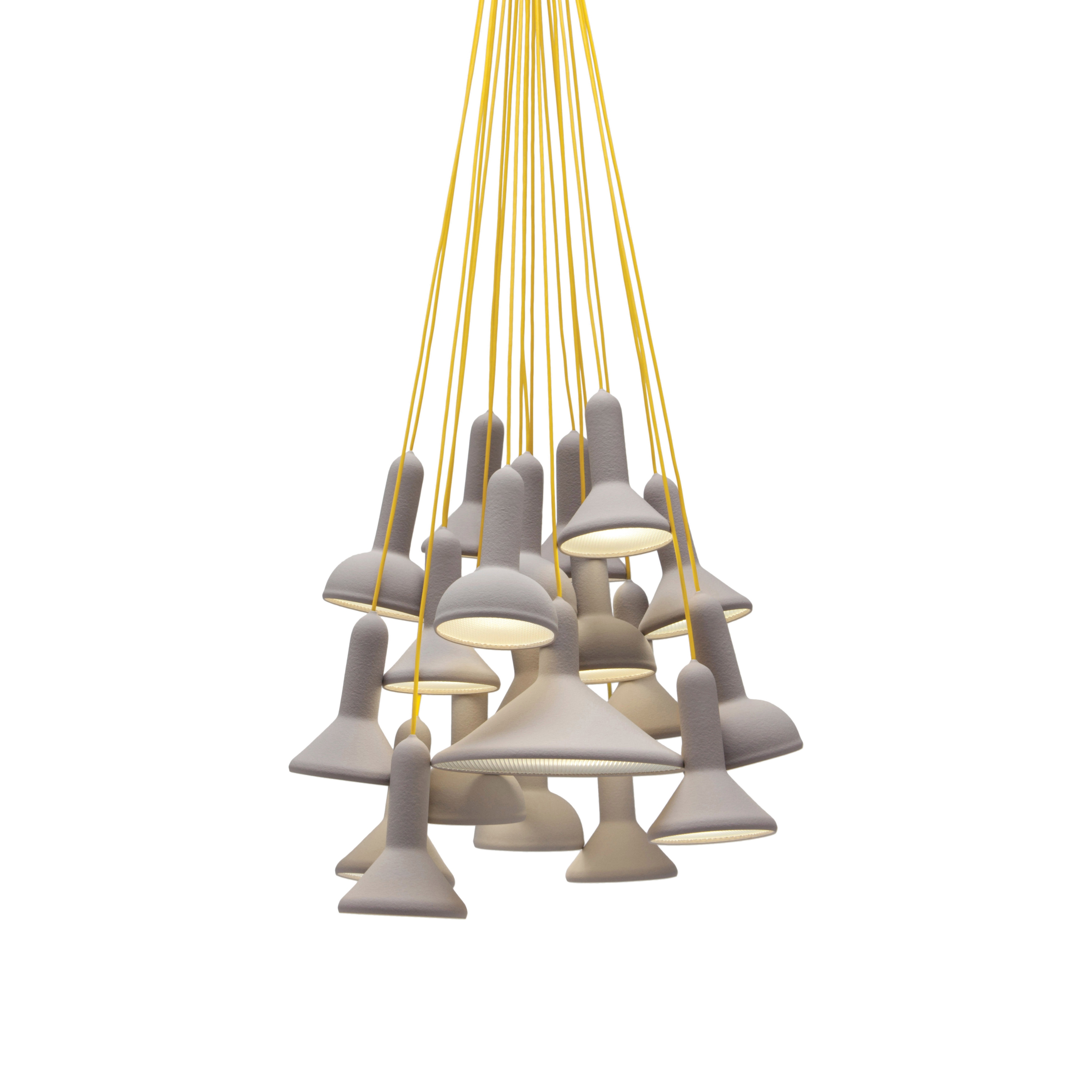 Torch Bunch | S20
