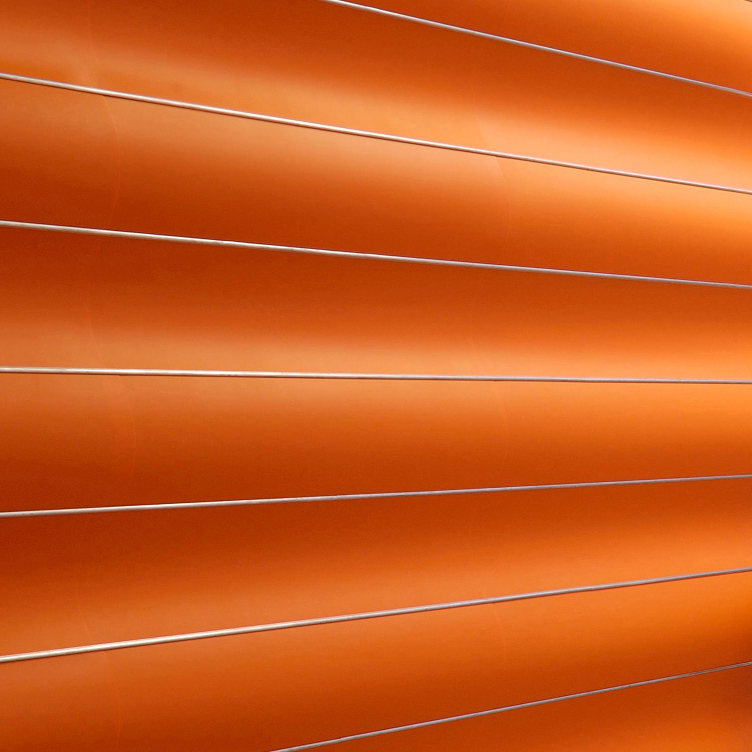 WAVE WALL: WALLS AND CEILINGS