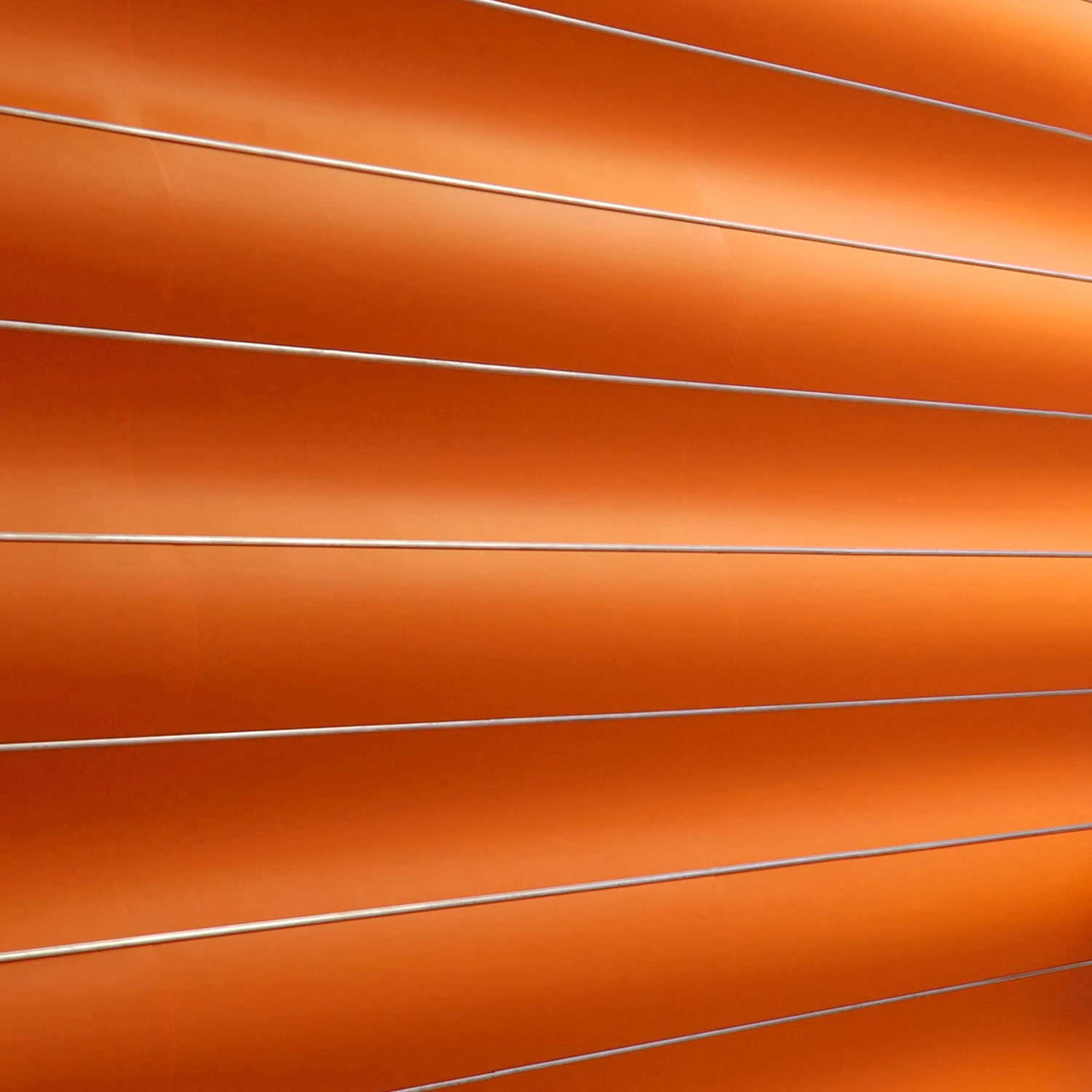 WAVE WALL: WALLS AND CEILINGS