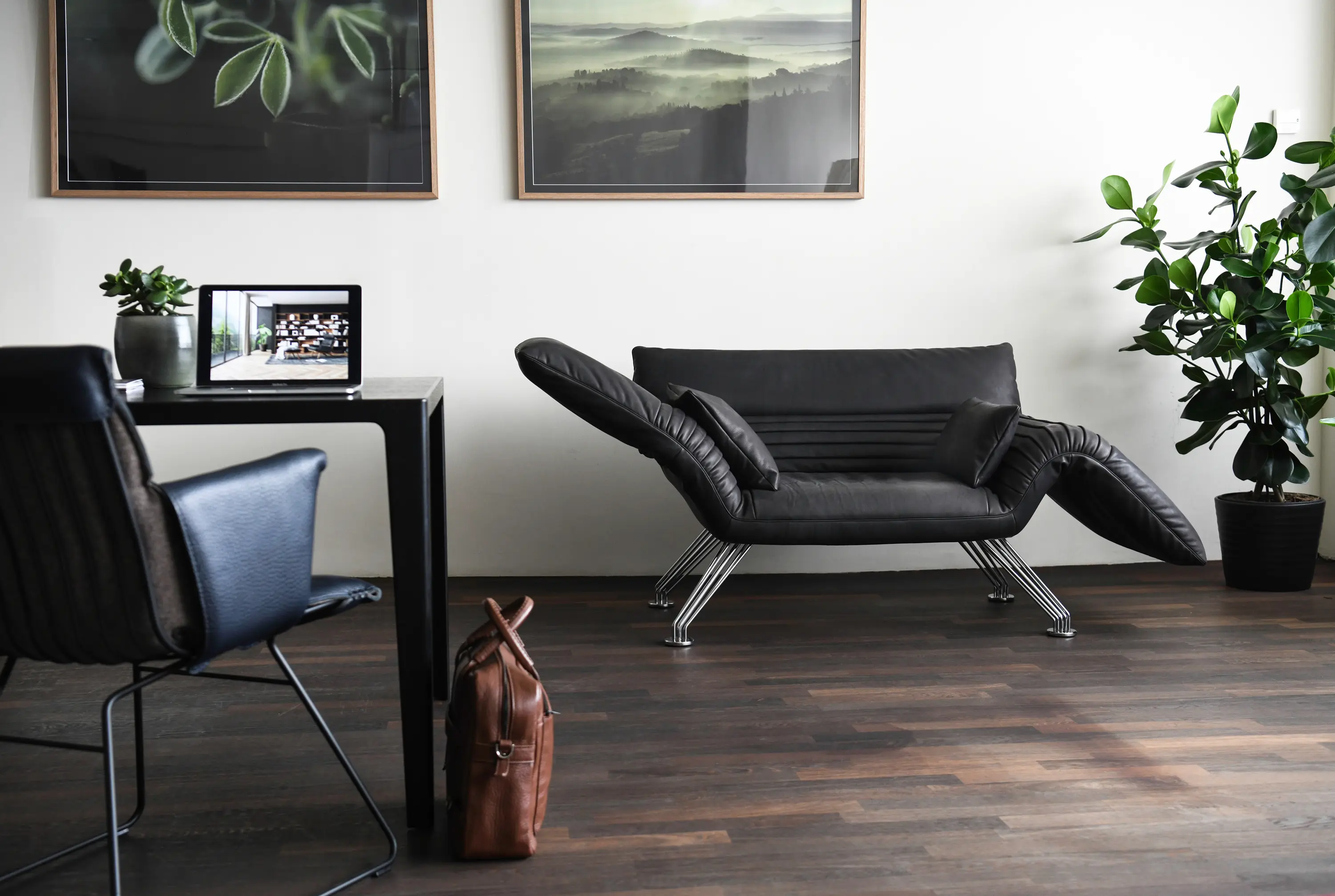 de Sede - DS-142 Wing