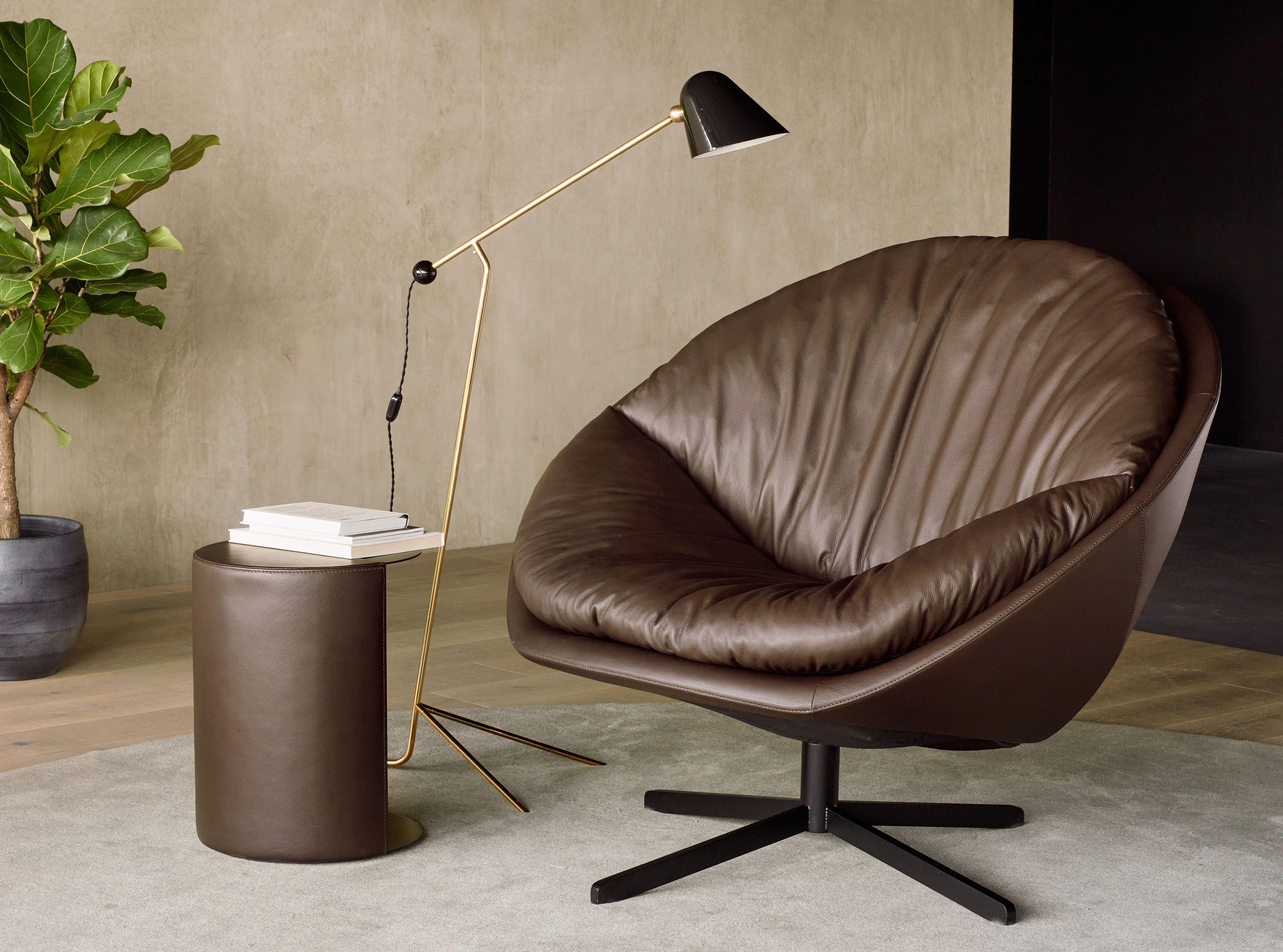 de Sede - DS-265 Coco