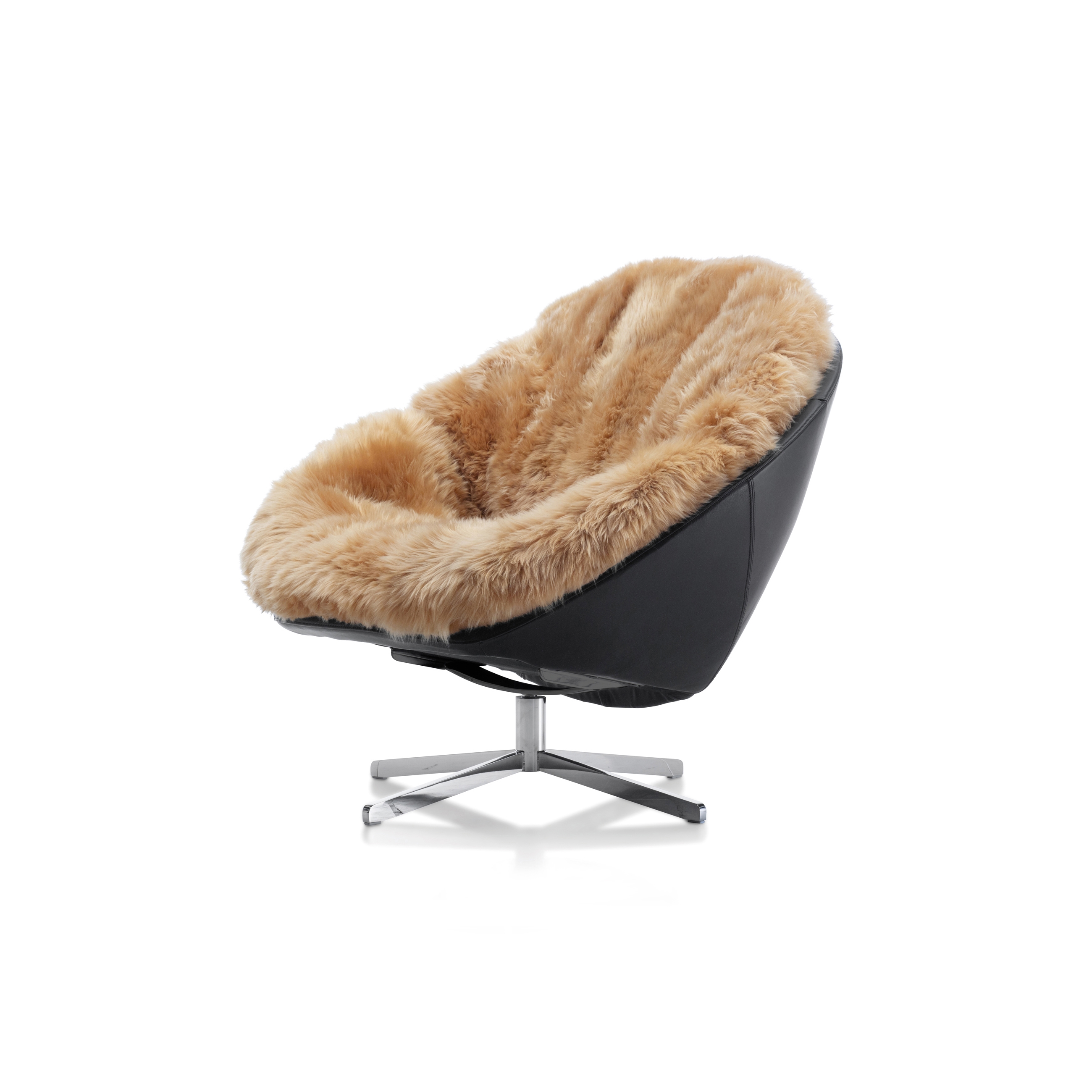DS-265 Coco