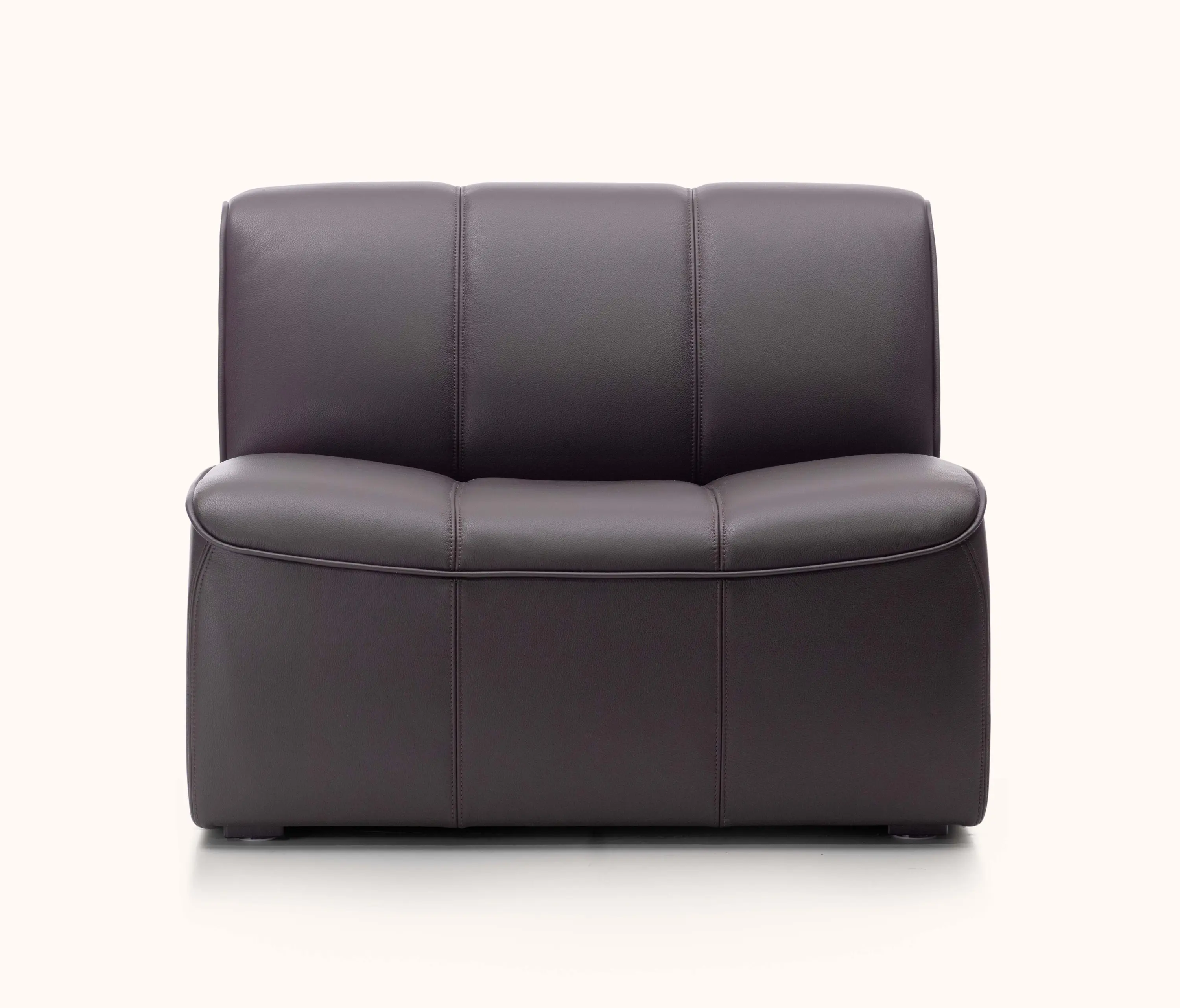 de Sede - DS-910 Lounge