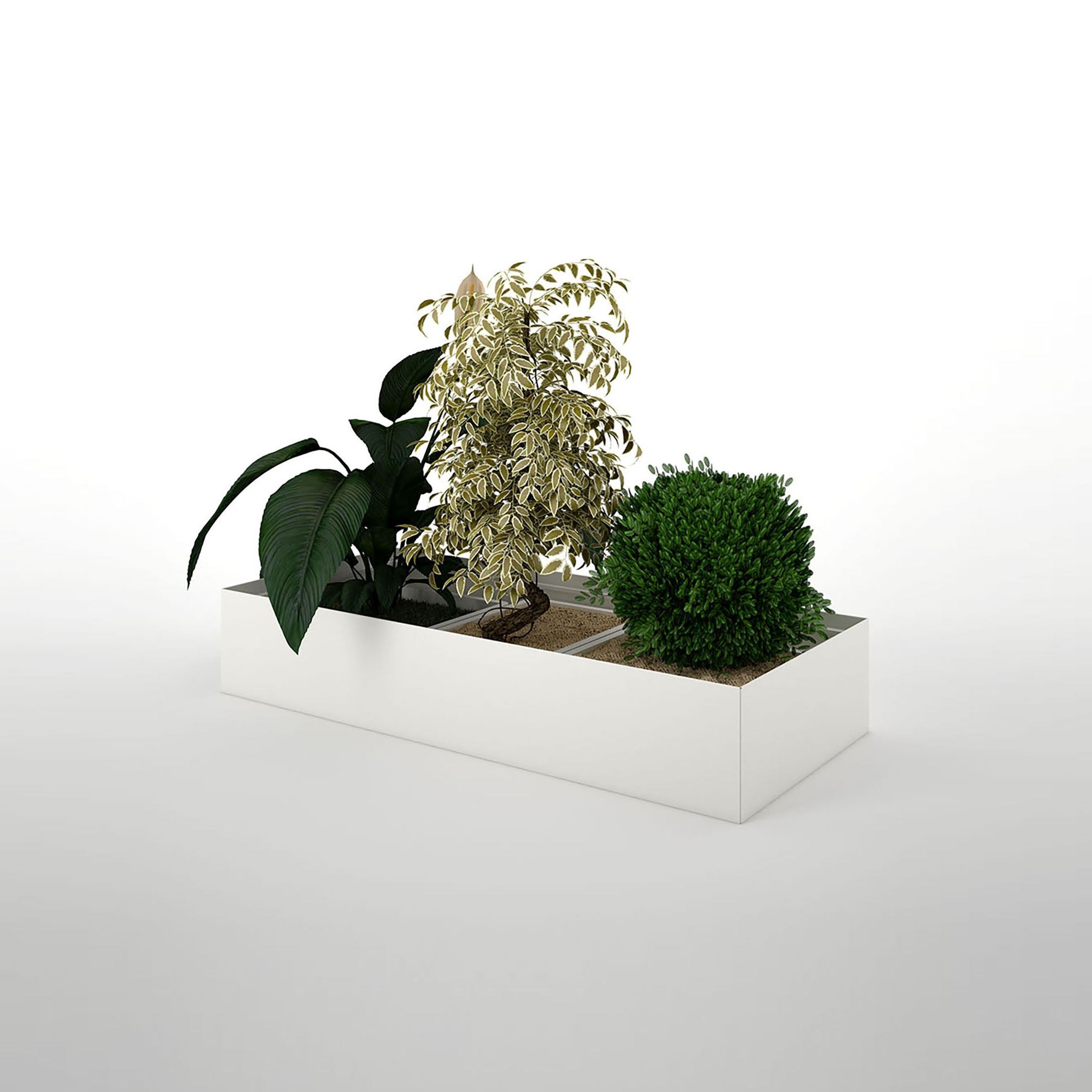 Mostrar el producto Primo Modular Elements | Plant and flower container unit del fabricante Dieffebi