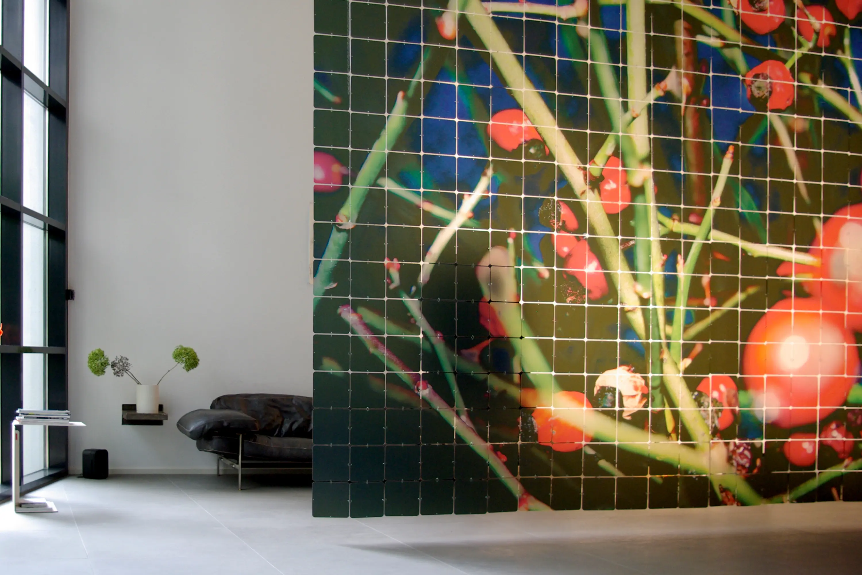 Nola Star - nolastar_image