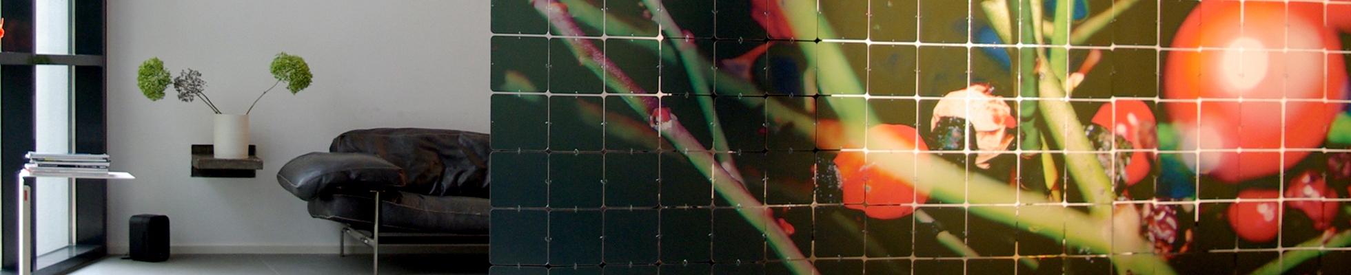 Descubrir el mundo del fabricante Nola Star