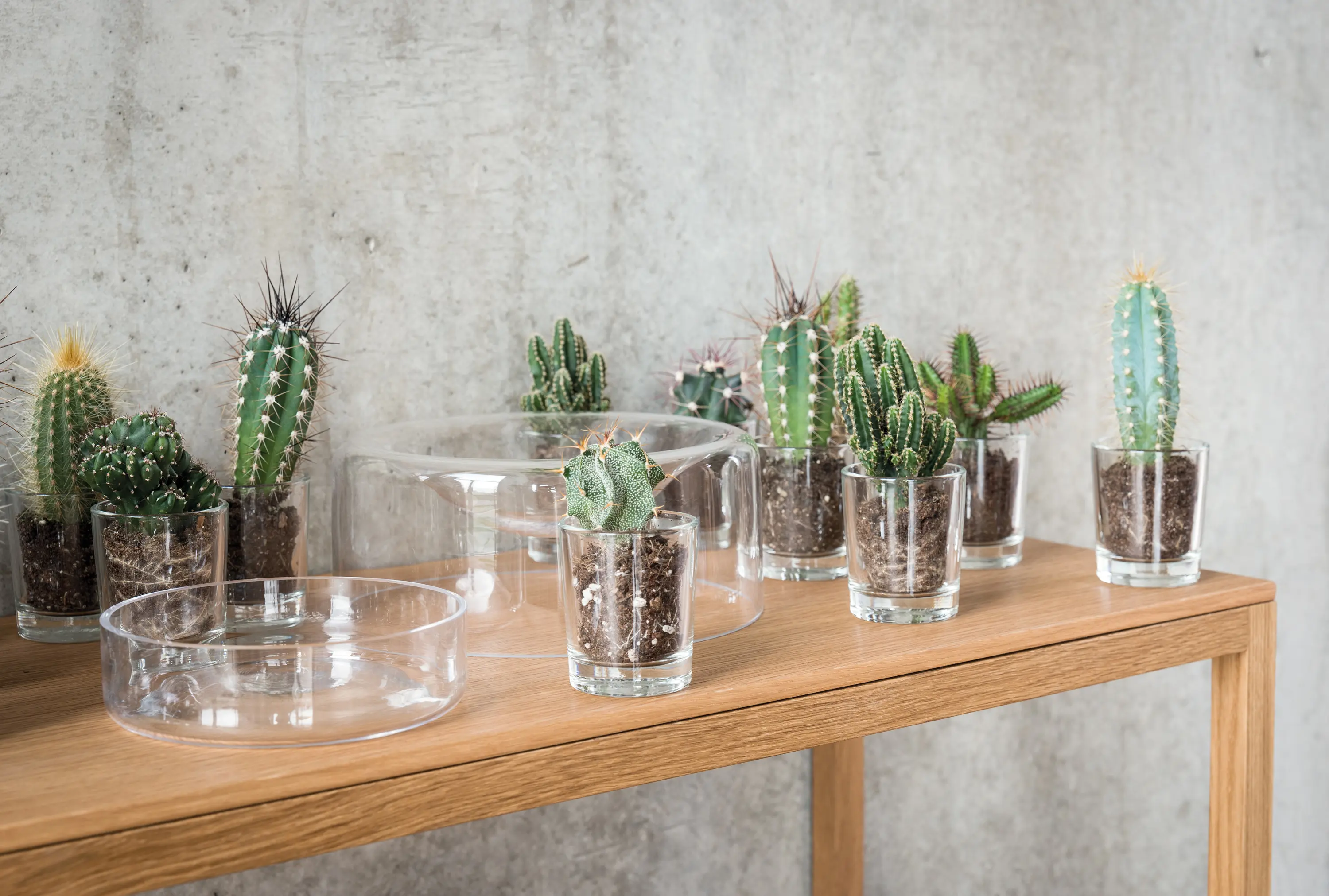 Schönbuch - JAR glass bowl L