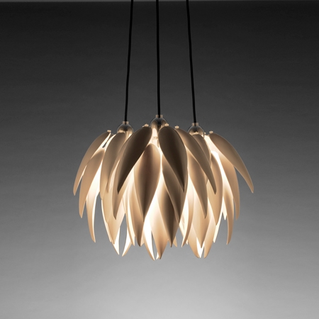 Display product Aloe Bud Multi from manufacturer Jeremy Cole