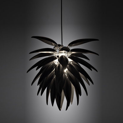 Display product Aloe Noir Blossom from manufacturer Jeremy Cole