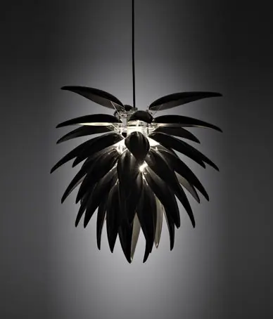 Jeremy Cole - Aloe Noir Blossom