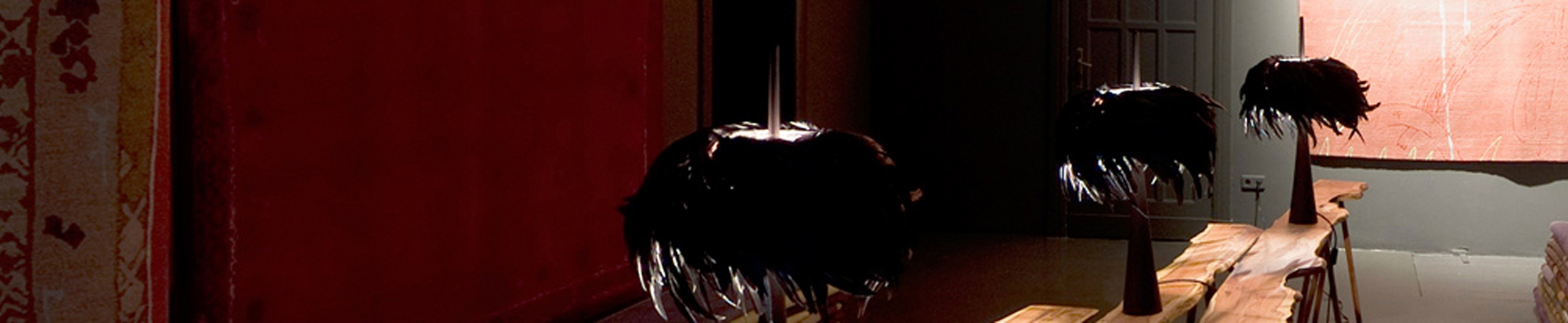 Discover the world of manufacturer pluma cubic