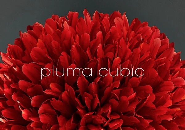 Image d’aperçu du fichier pluma cubic