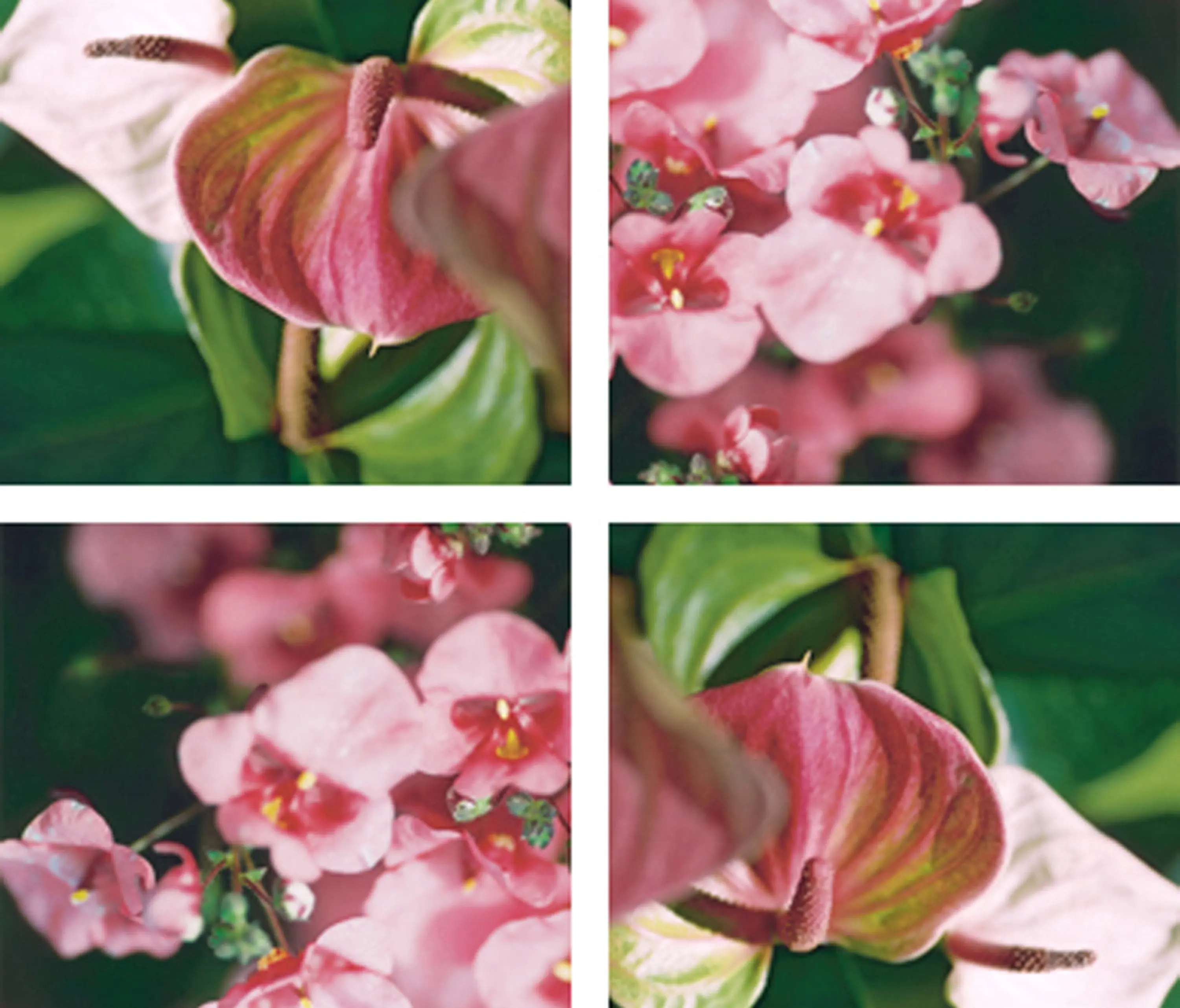 tela-design - Fingering Leaves