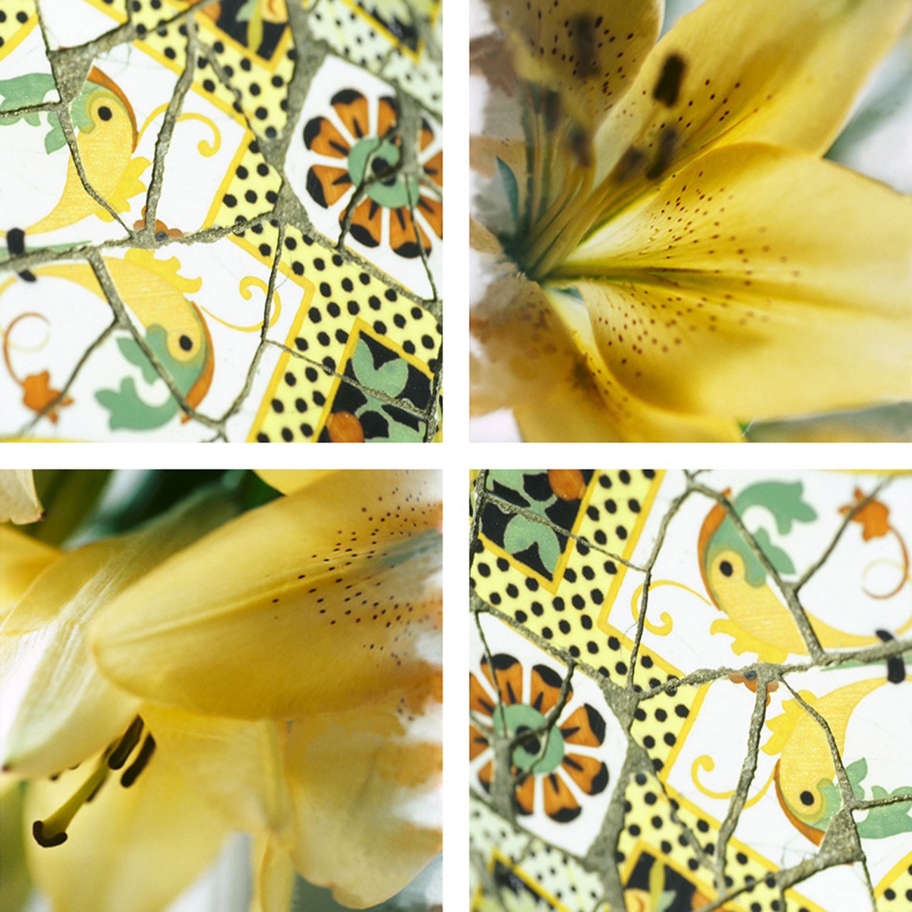 Afficher le produit Making Points du fabricant tela-design