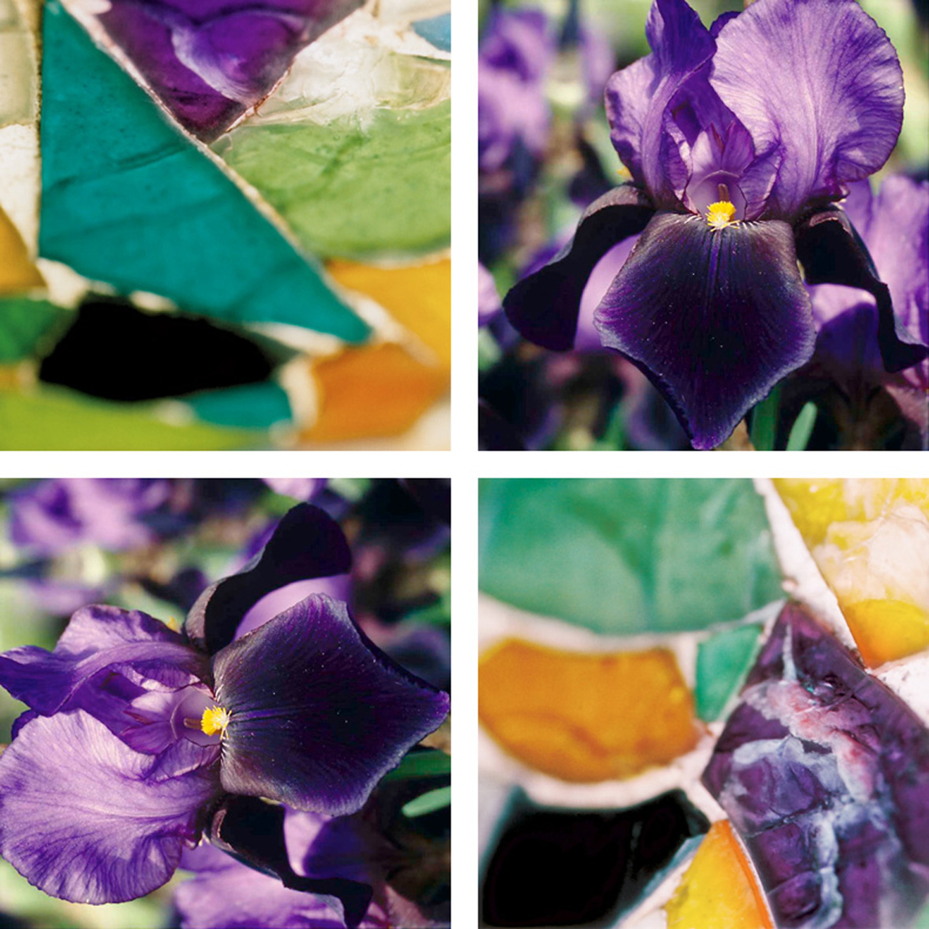 Afficher le produit Kaleidoblossoms du fabricant tela-design