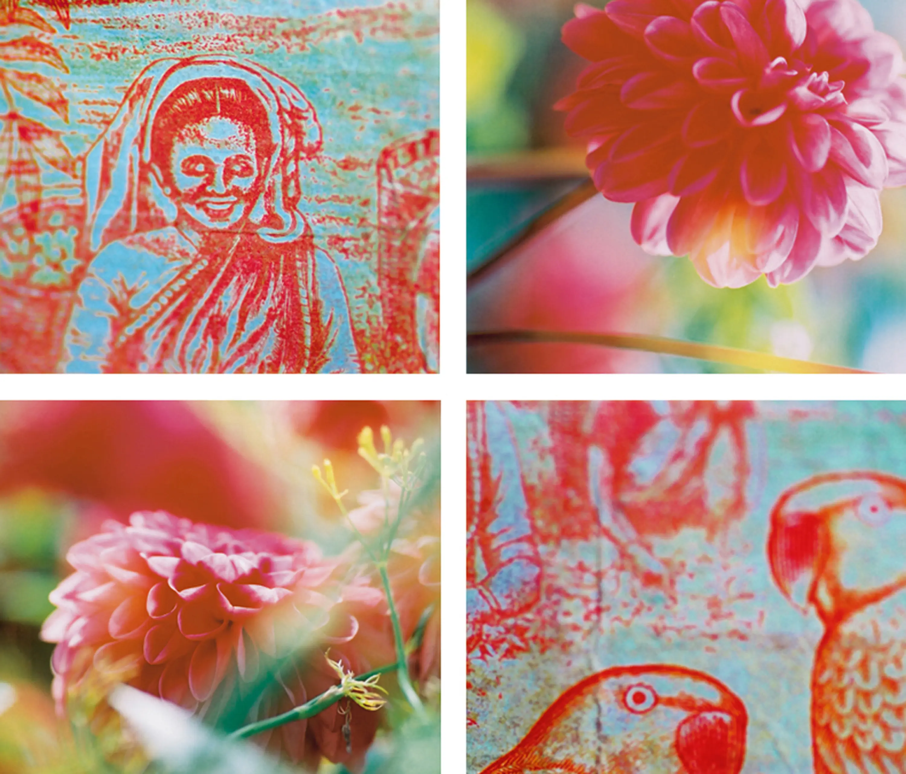 tela-design - Teapluckers