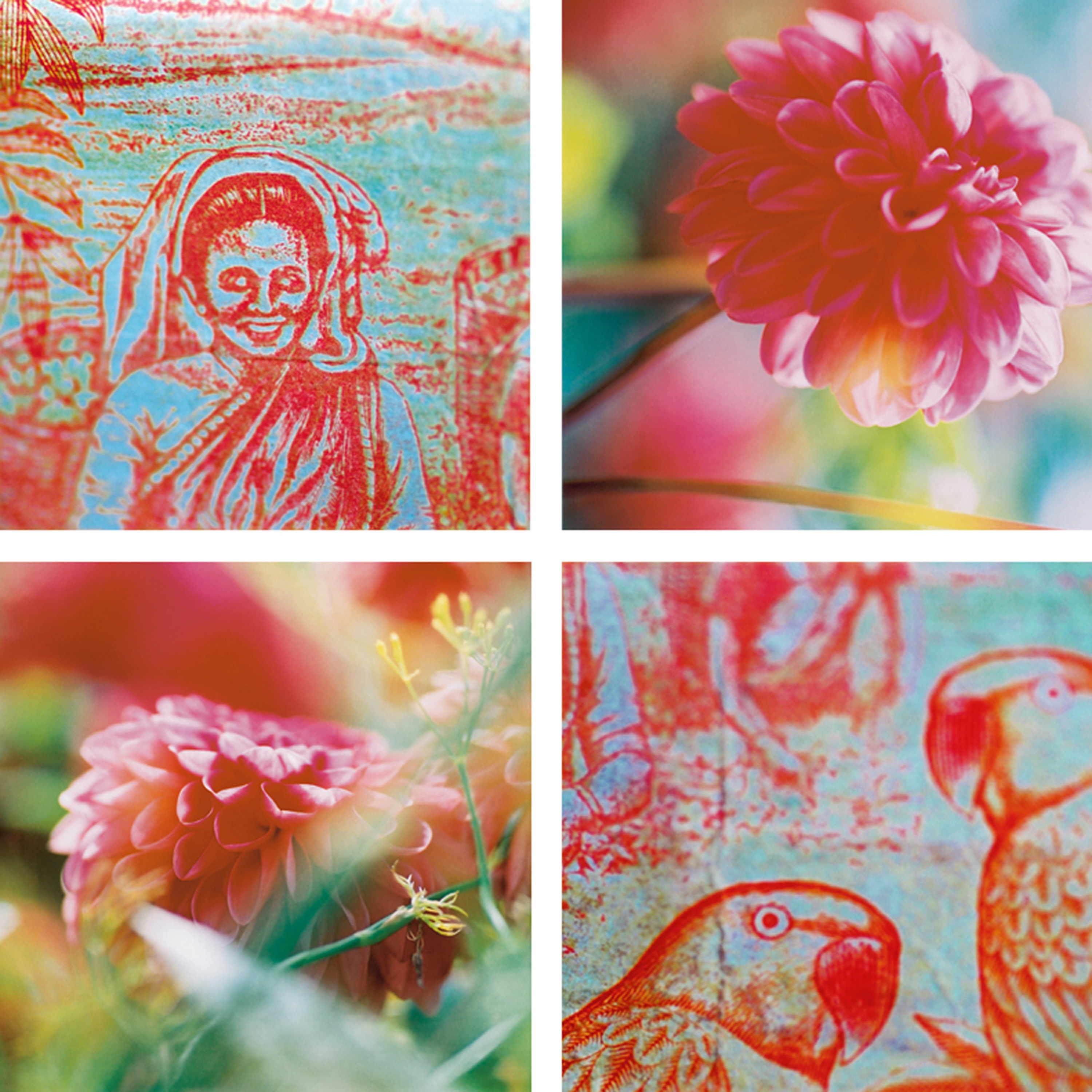 Afficher le produit Teapluckers du fabricant tela-design