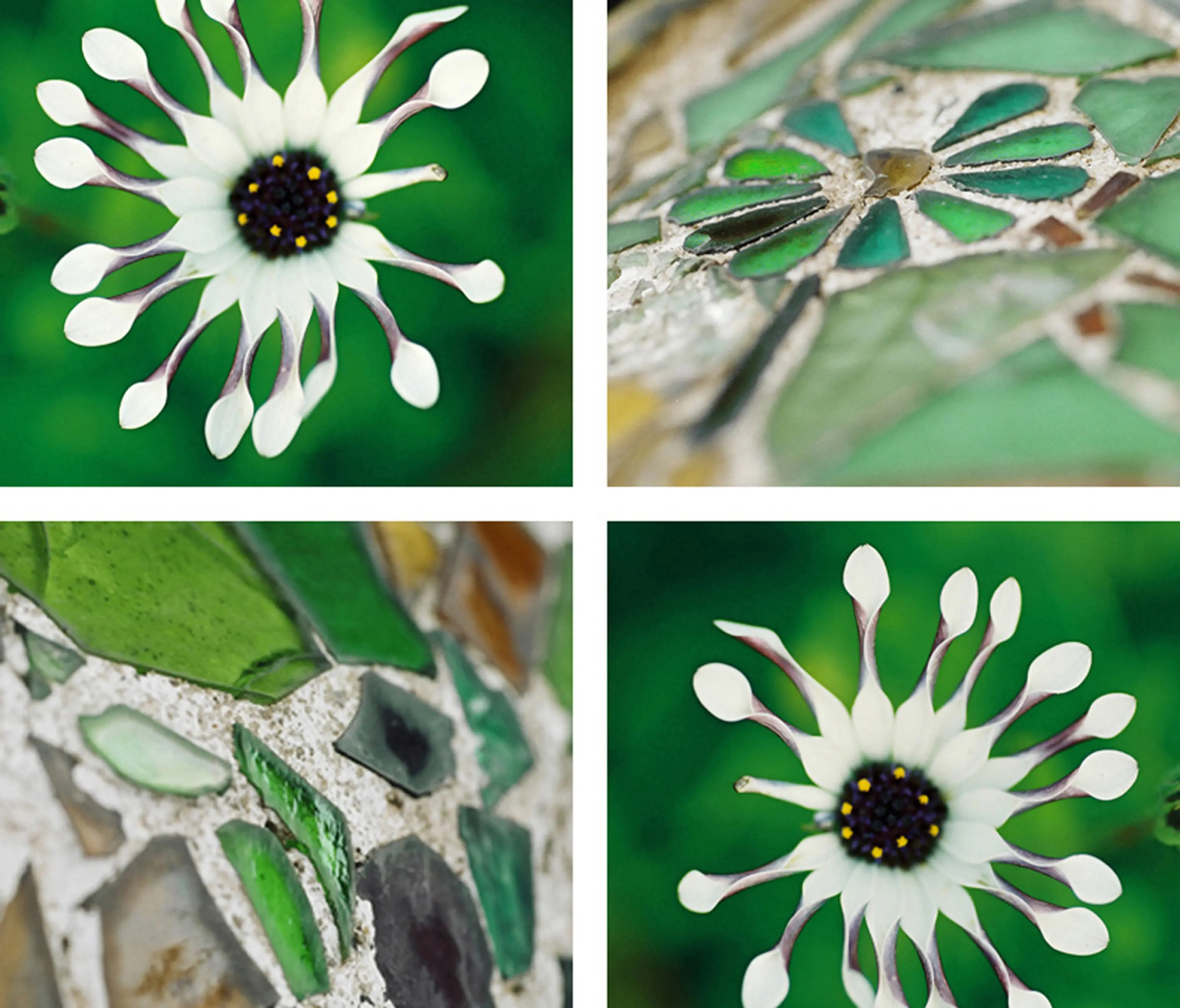 tela-design - Stars In Transit