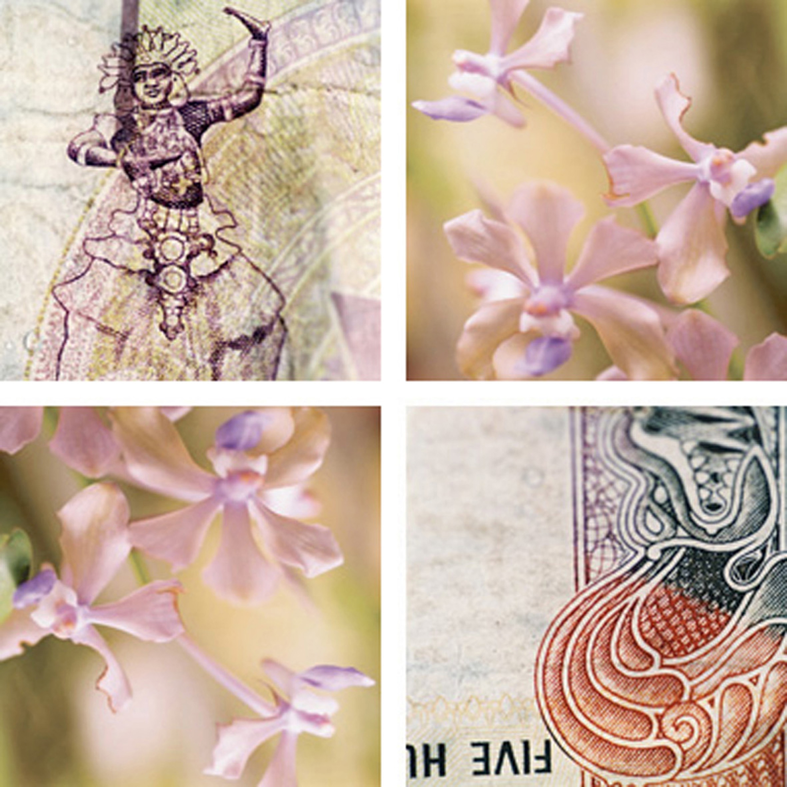 Afficher le produit Orchid Dancer du fabricant tela-design