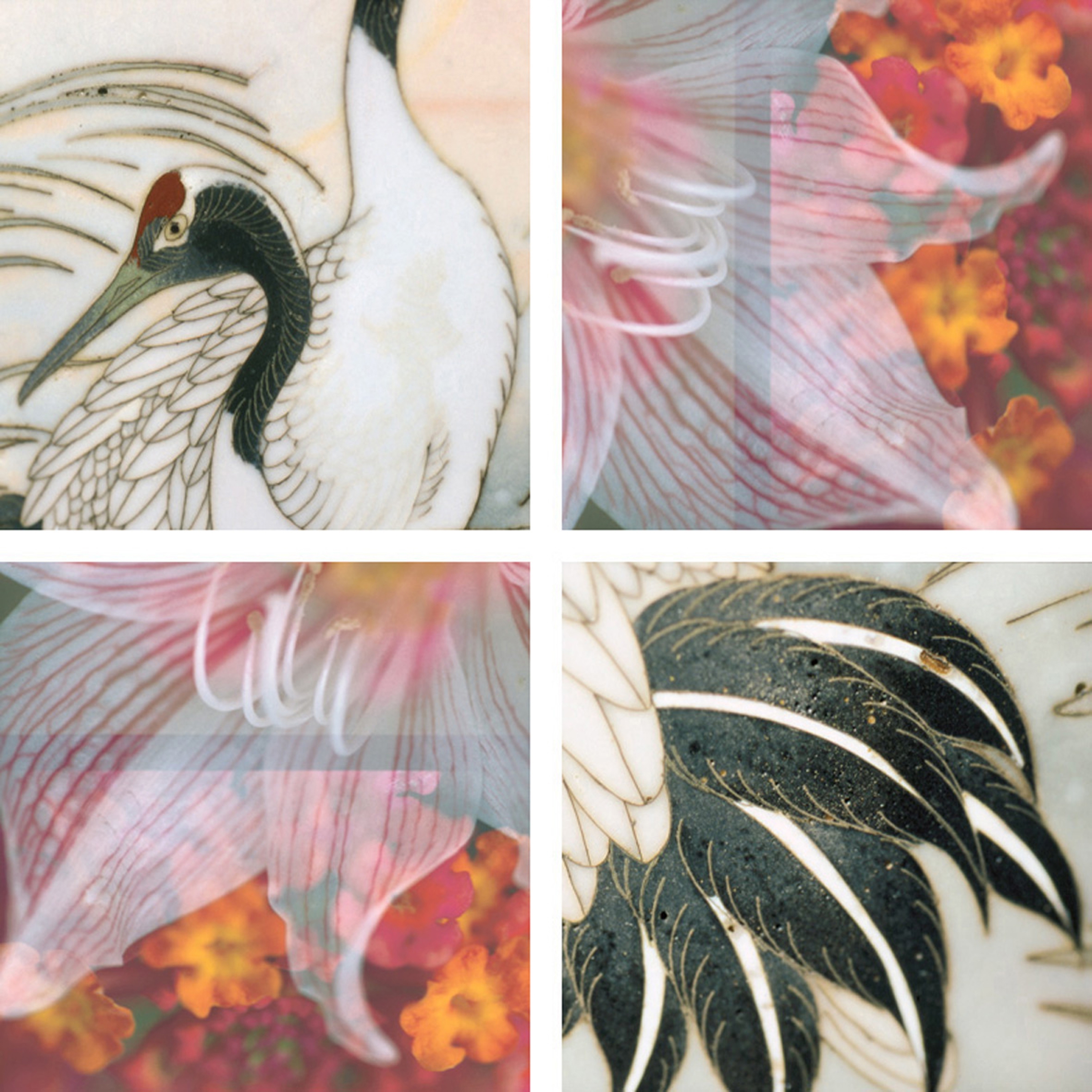 Afficher le produit Fabulous Cranery du fabricant tela-design