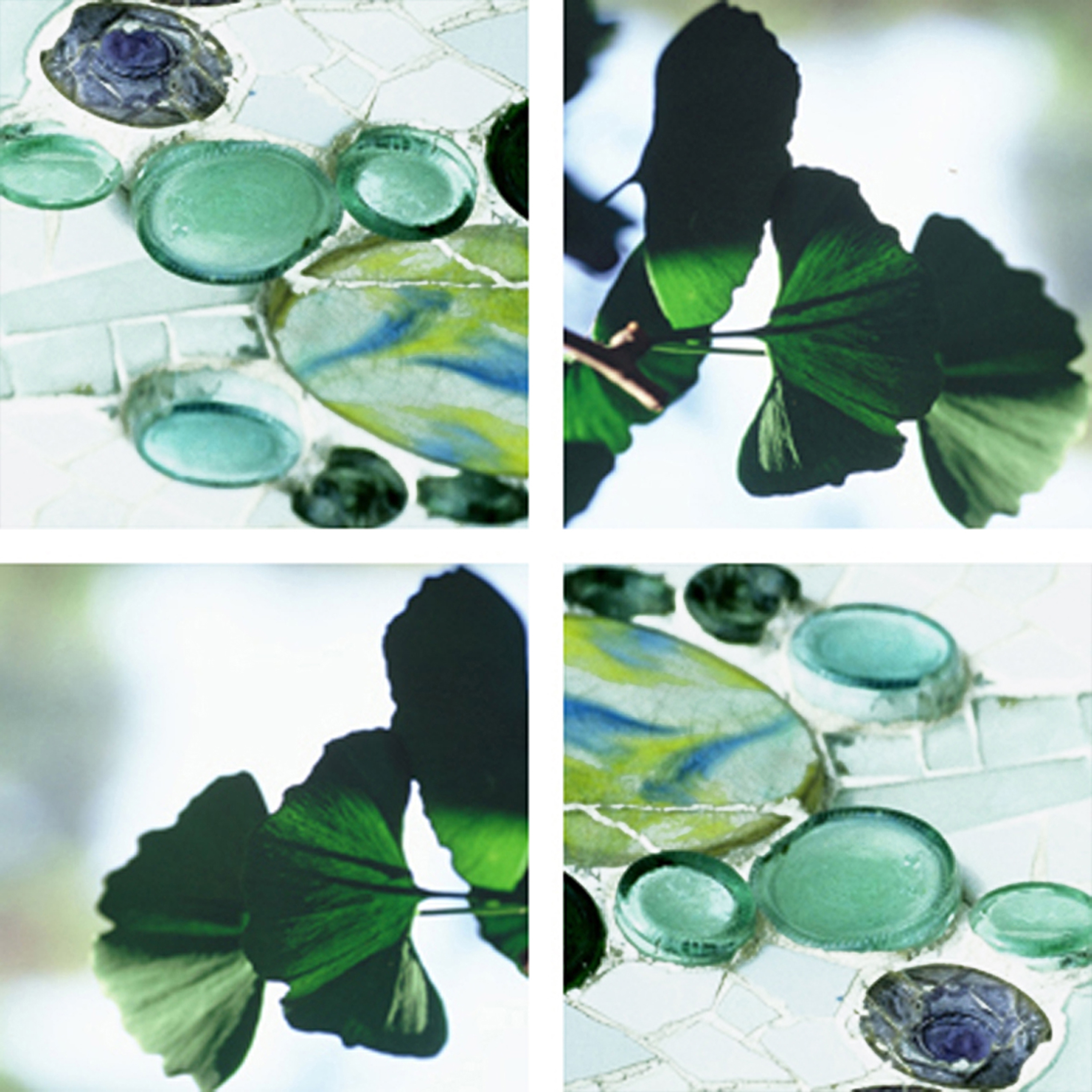 Afficher le produit Gingko Dollars du fabricant tela-design
