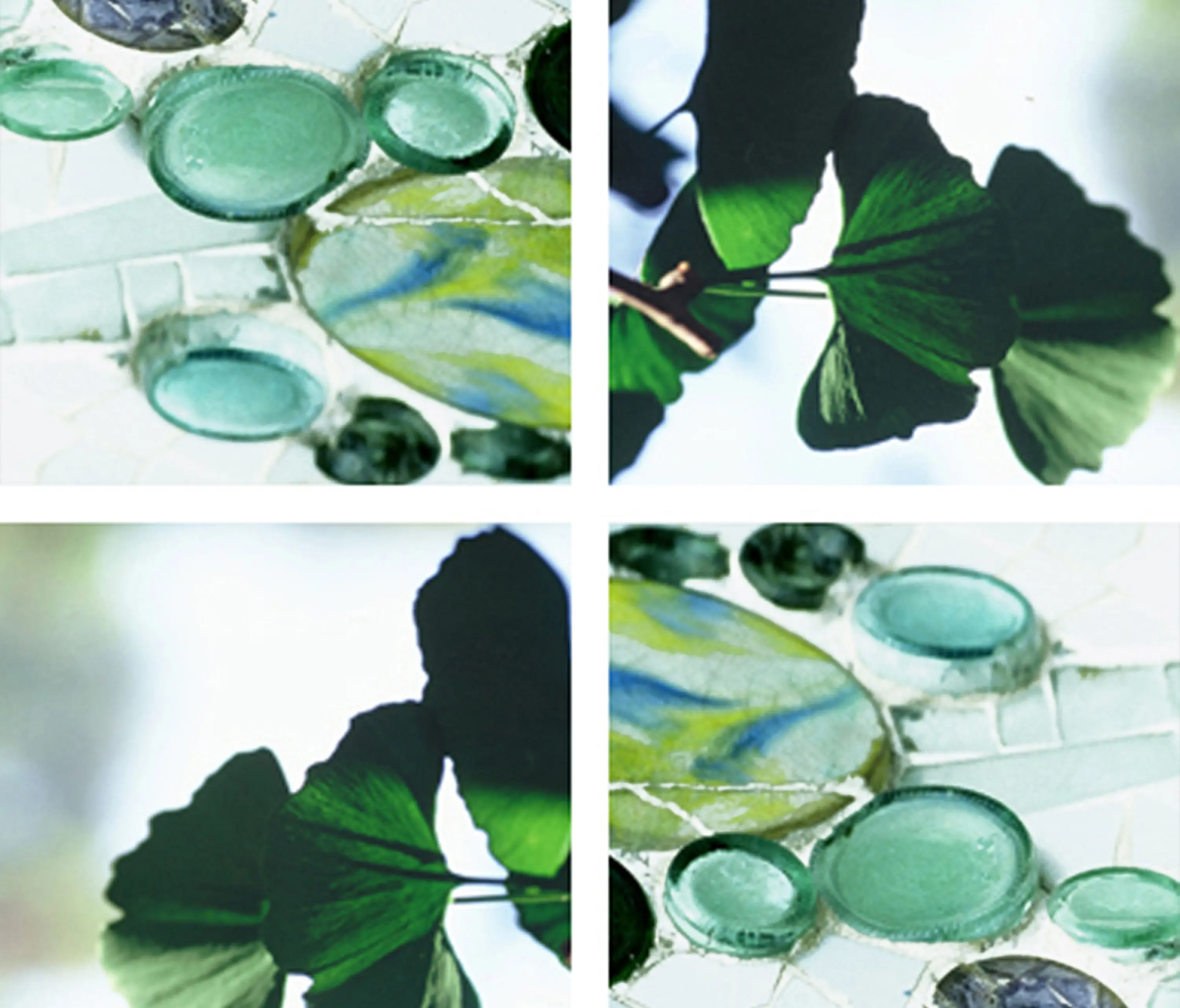 tela-design - Gingko Dollars