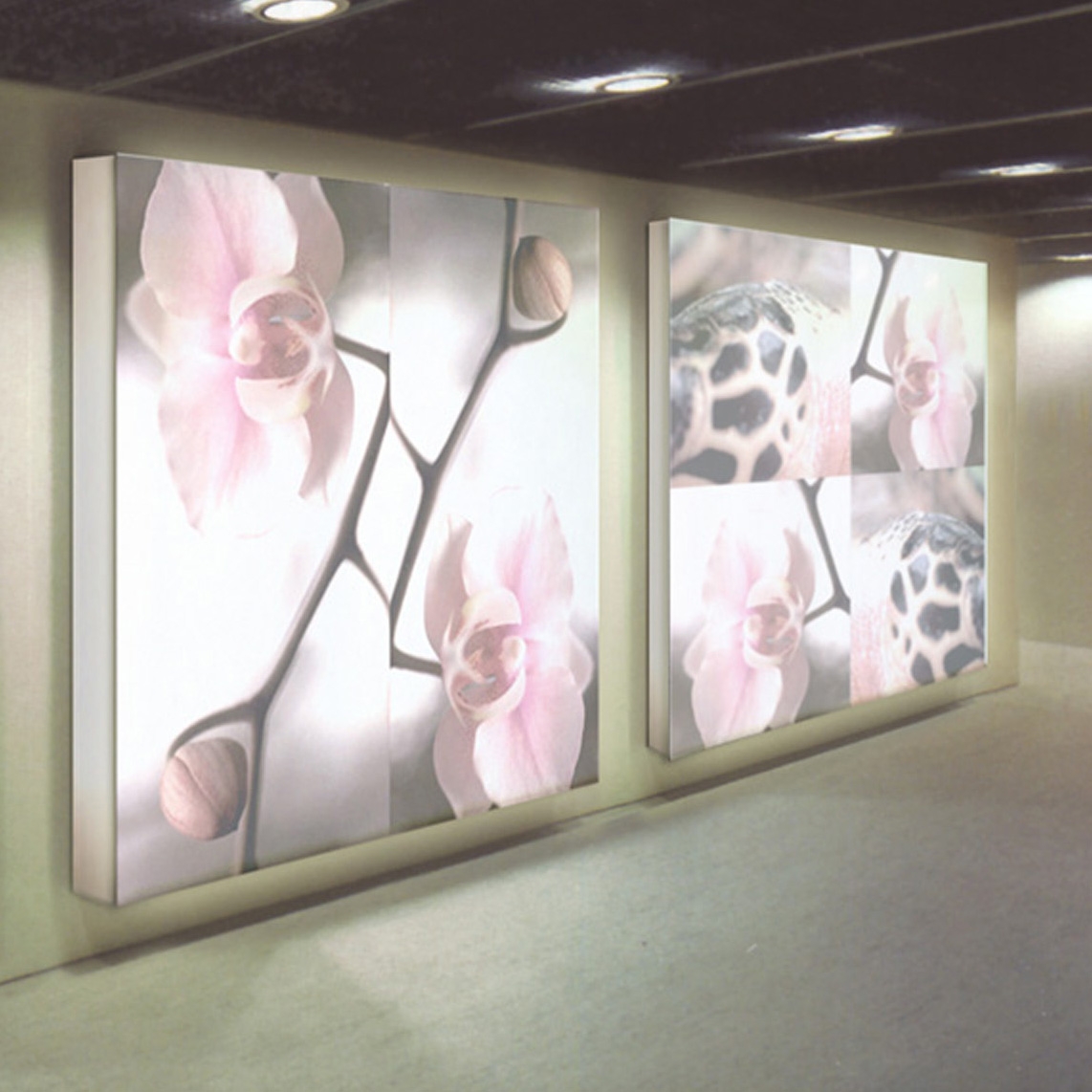 Produkt Orchid Meets Reptile des Herstellers tela-design anzeigen