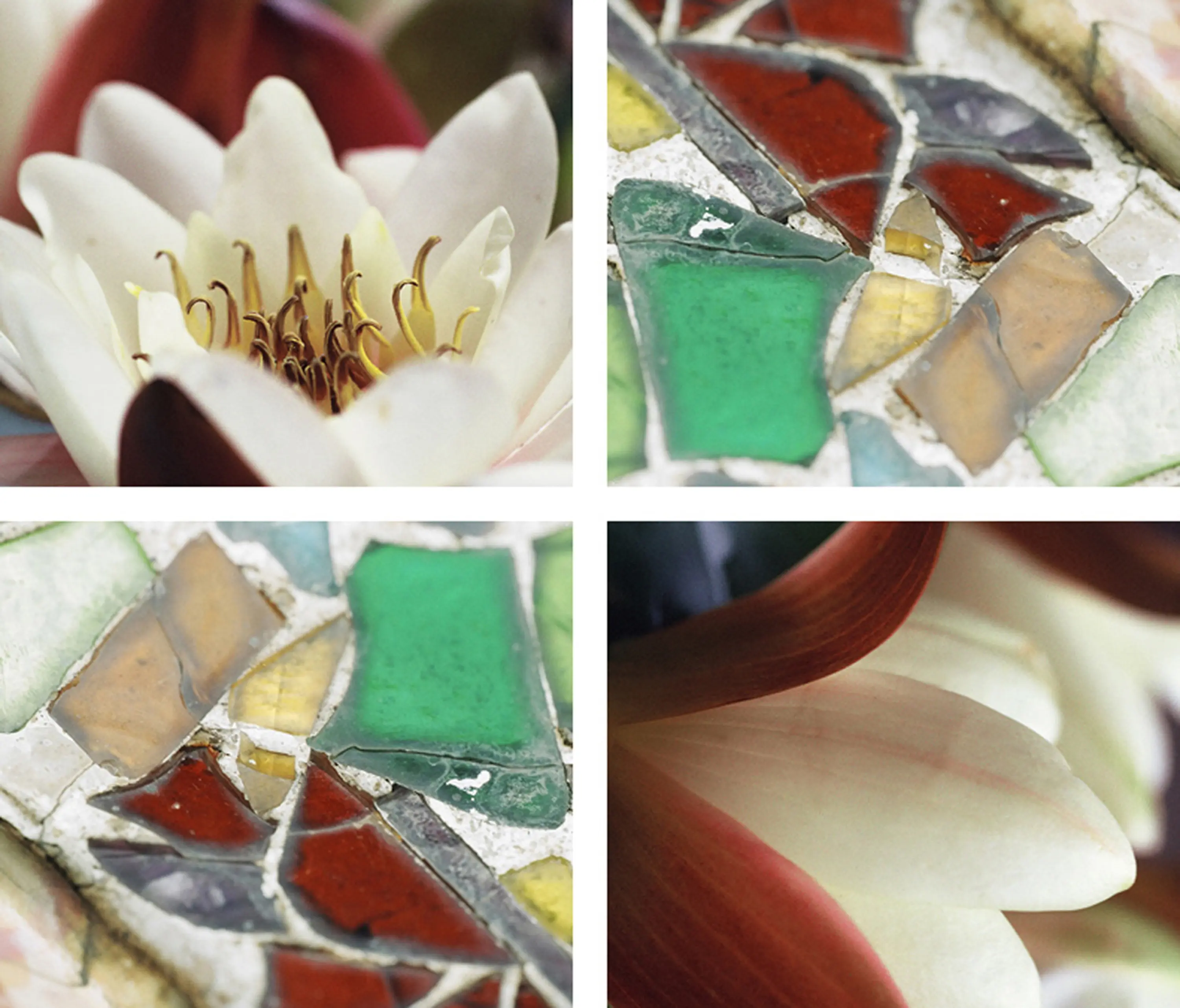tela-design - Splitting Images
