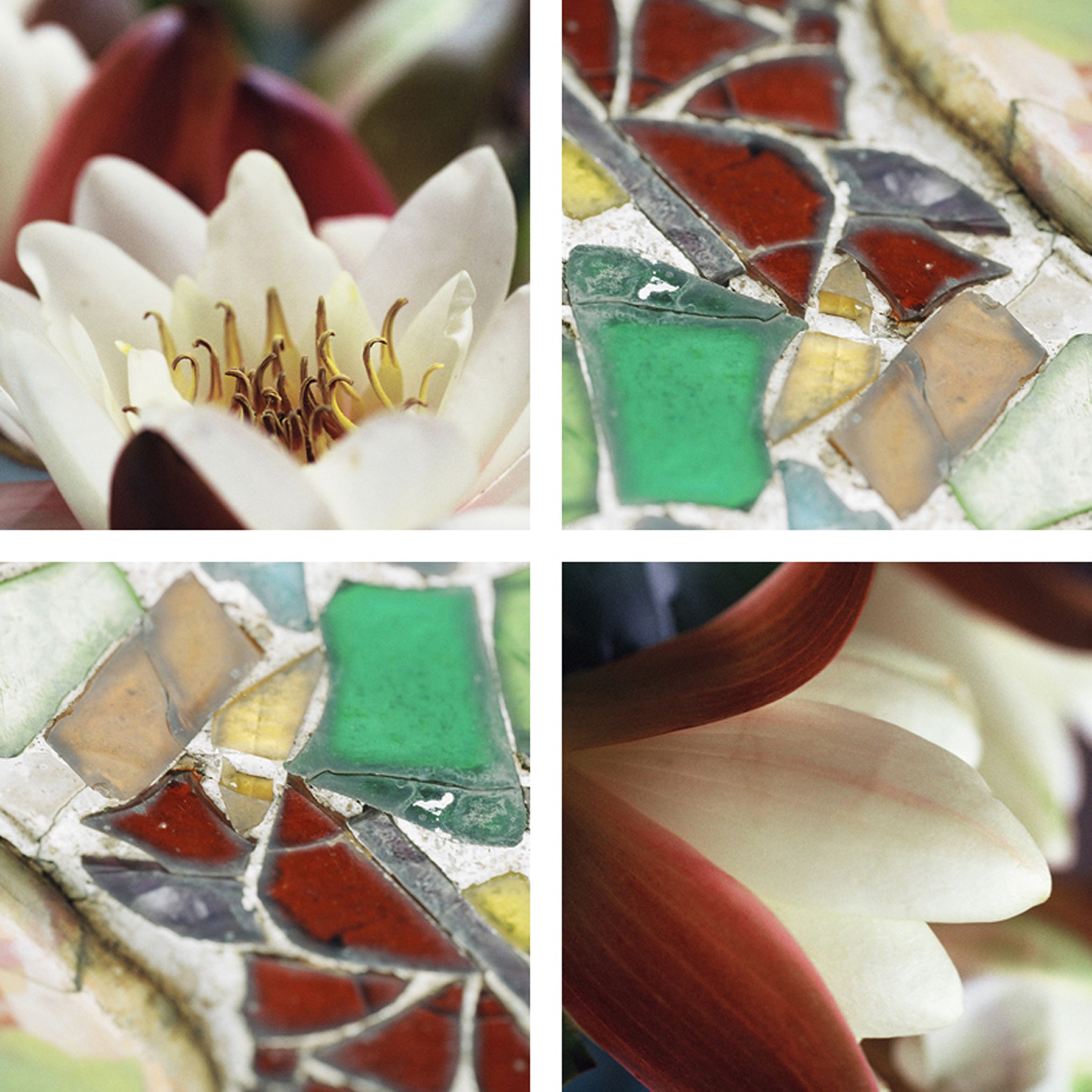 Display product Splitting Images from manufacturer tela-design